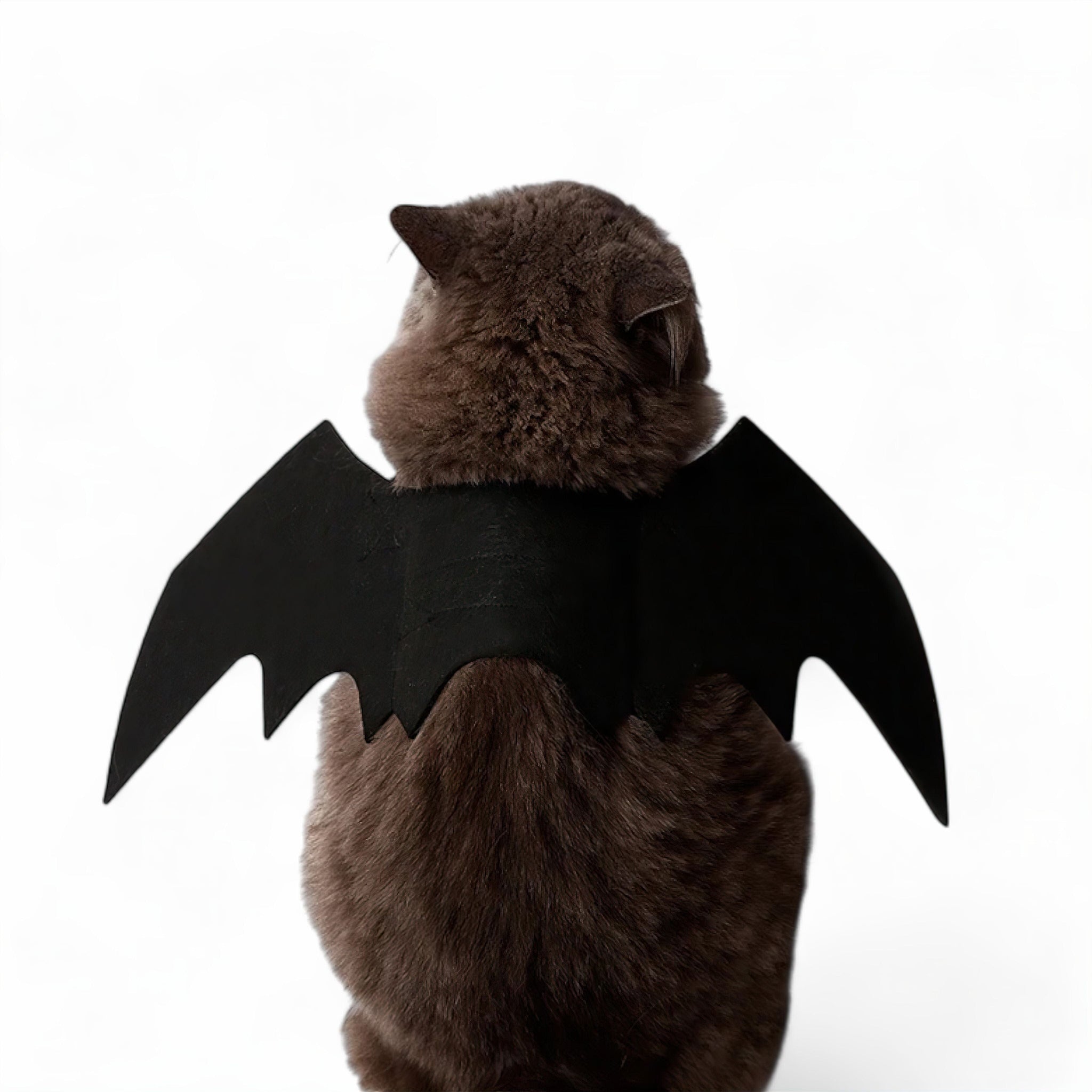 Bat Wing Boo Pet Costume Cat Clothing Luxe Pet Store 