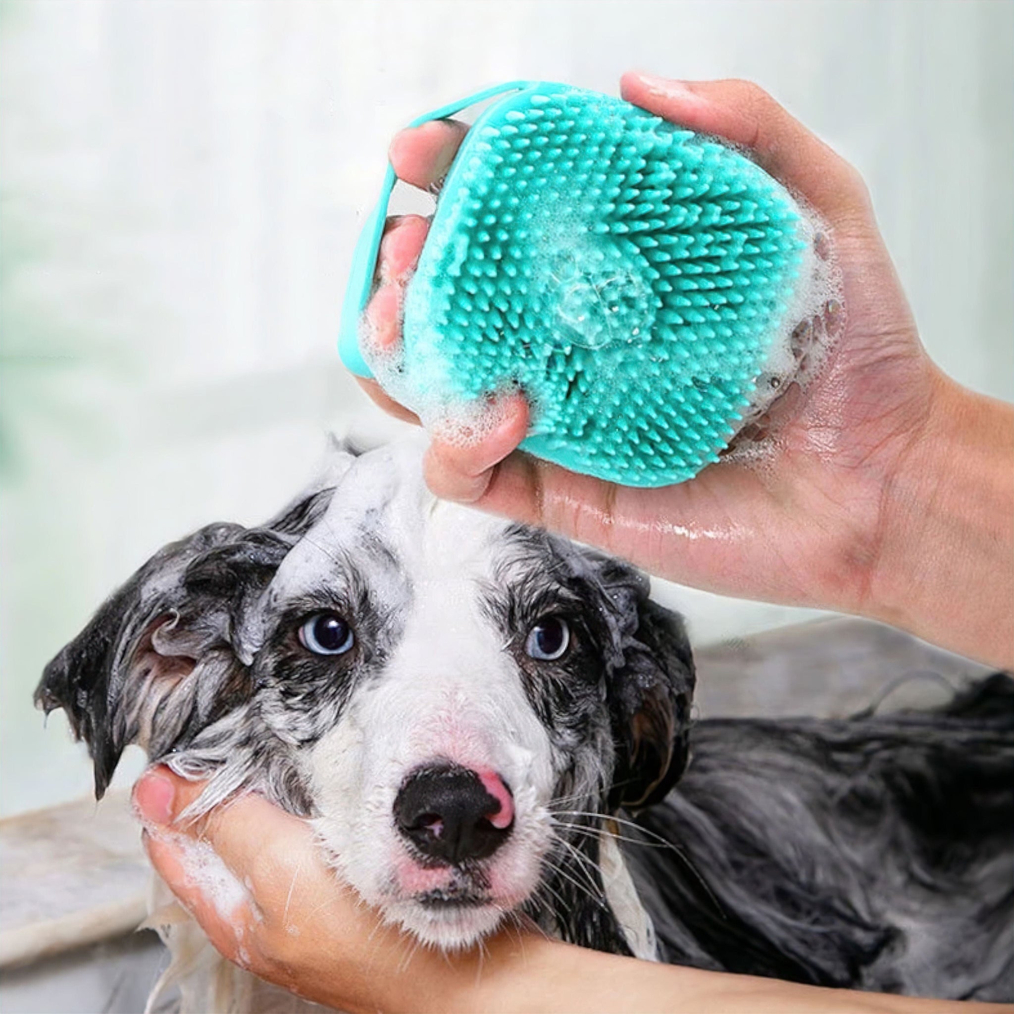 Gentle Paws Bath Brush Bath Brush USAdrop 