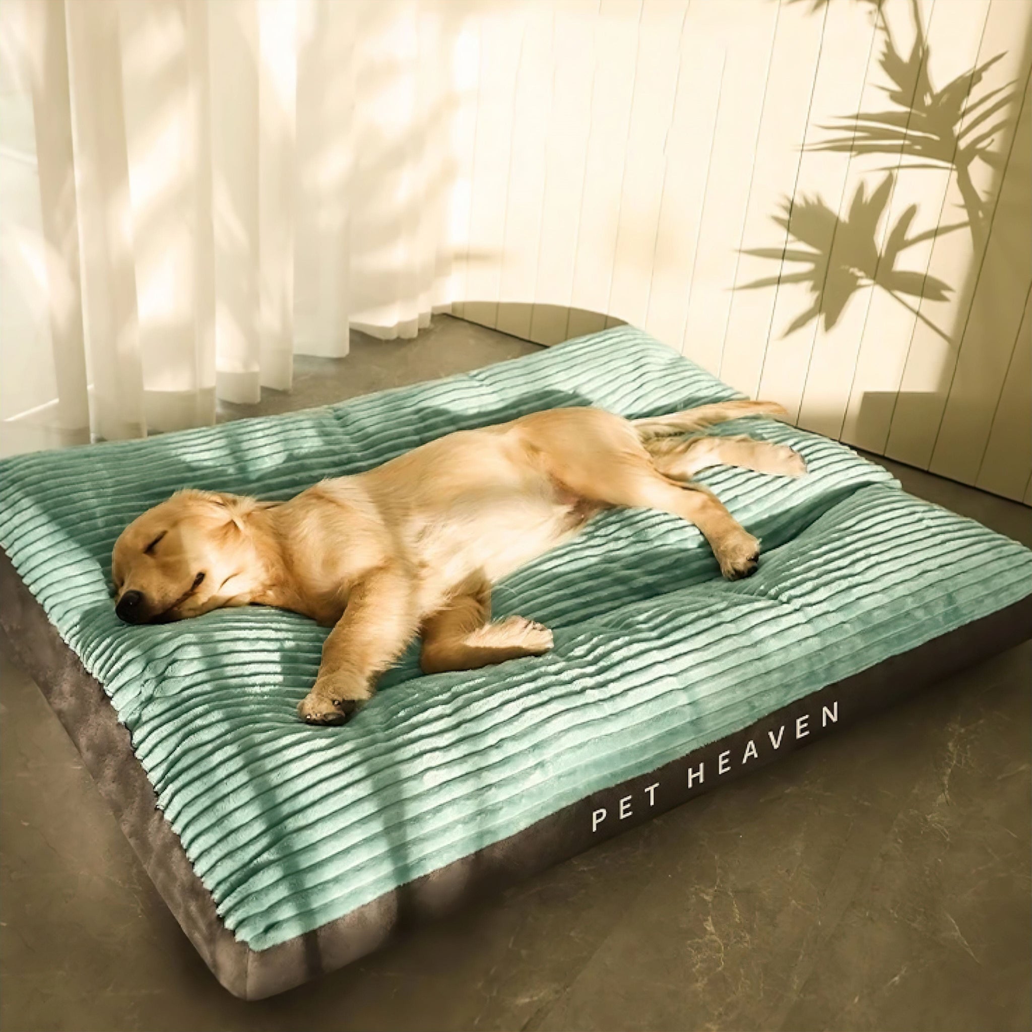 Big Paws Comfort Bed Sleeping Bed Luxe Pet Store 