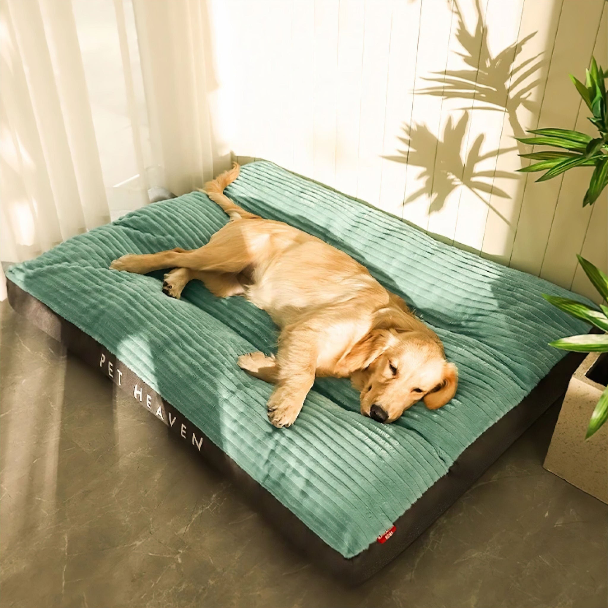 Big Paws Comfort Bed Sleeping Bed Luxe Pet Store 