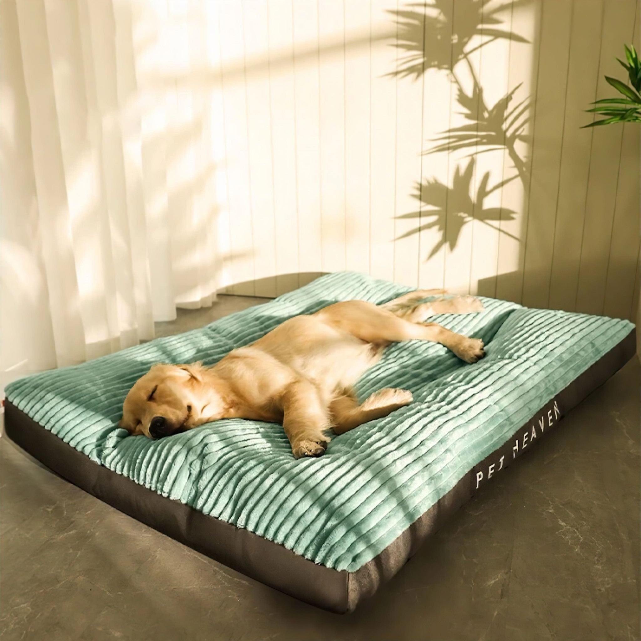 Big Paws Comfort Bed Sleeping Bed Luxe Pet Store 