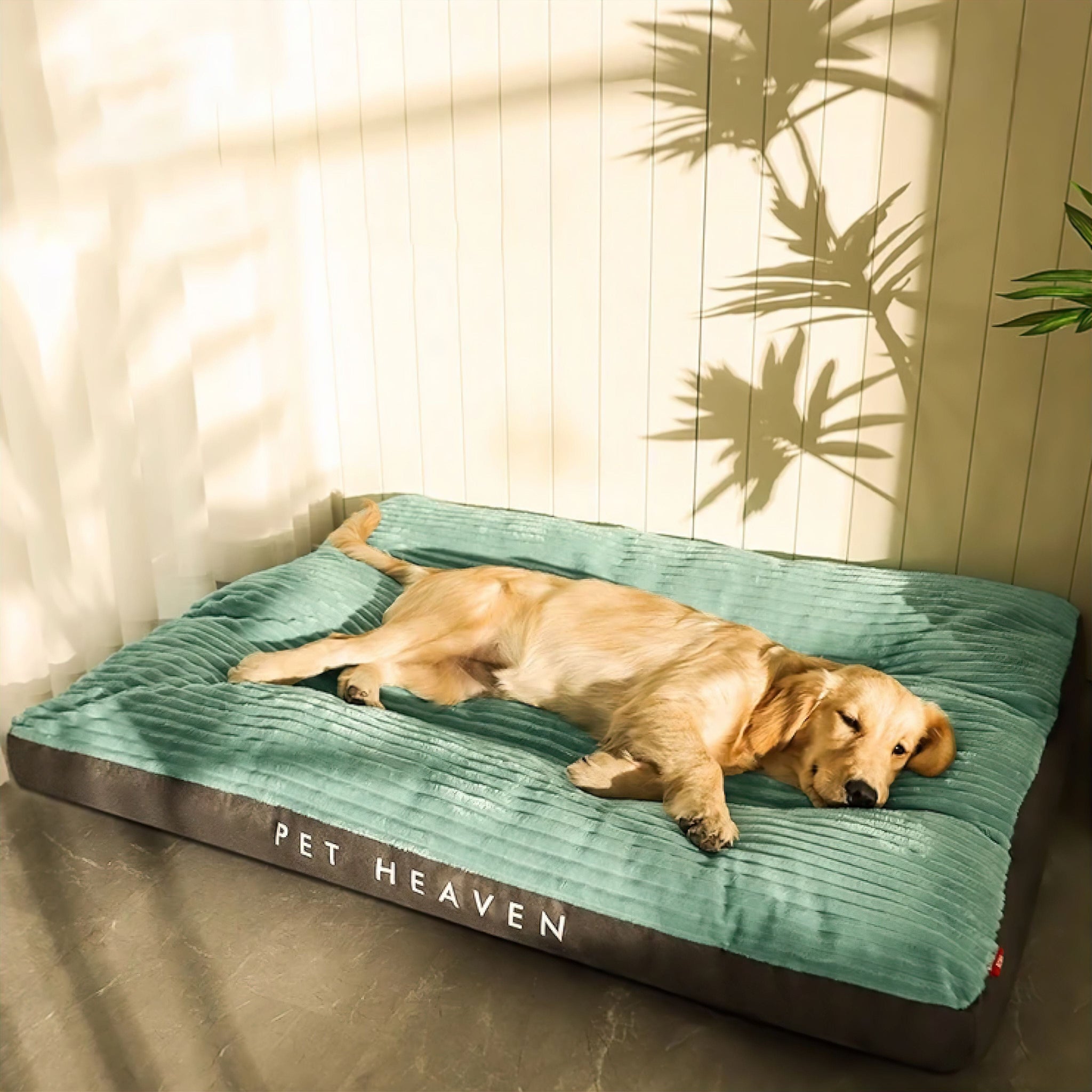 Big Paws Comfort Bed Sleeping Bed Luxe Pet Store Green L 