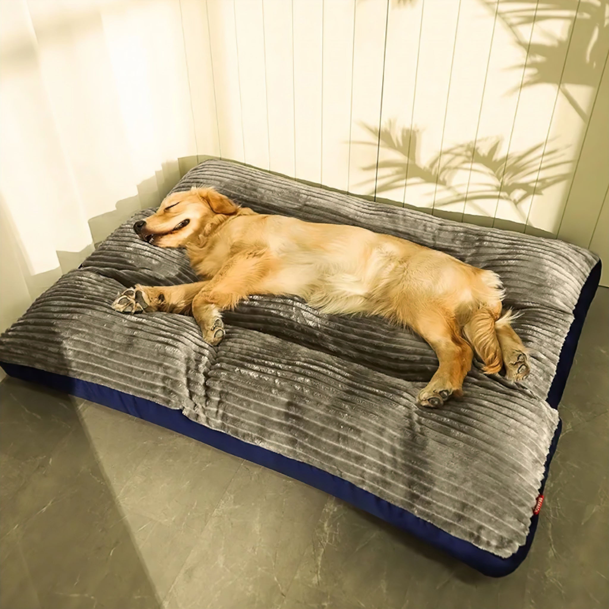 Big Paws Comfort Bed Sleeping Bed Luxe Pet Store Grey L 