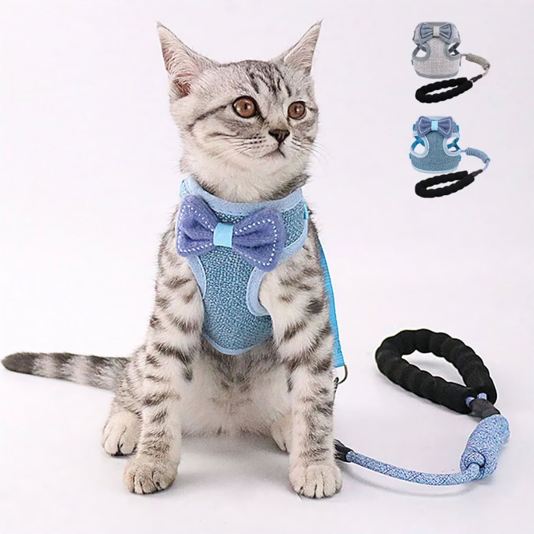 Pawfect Bowtie Bliss Set