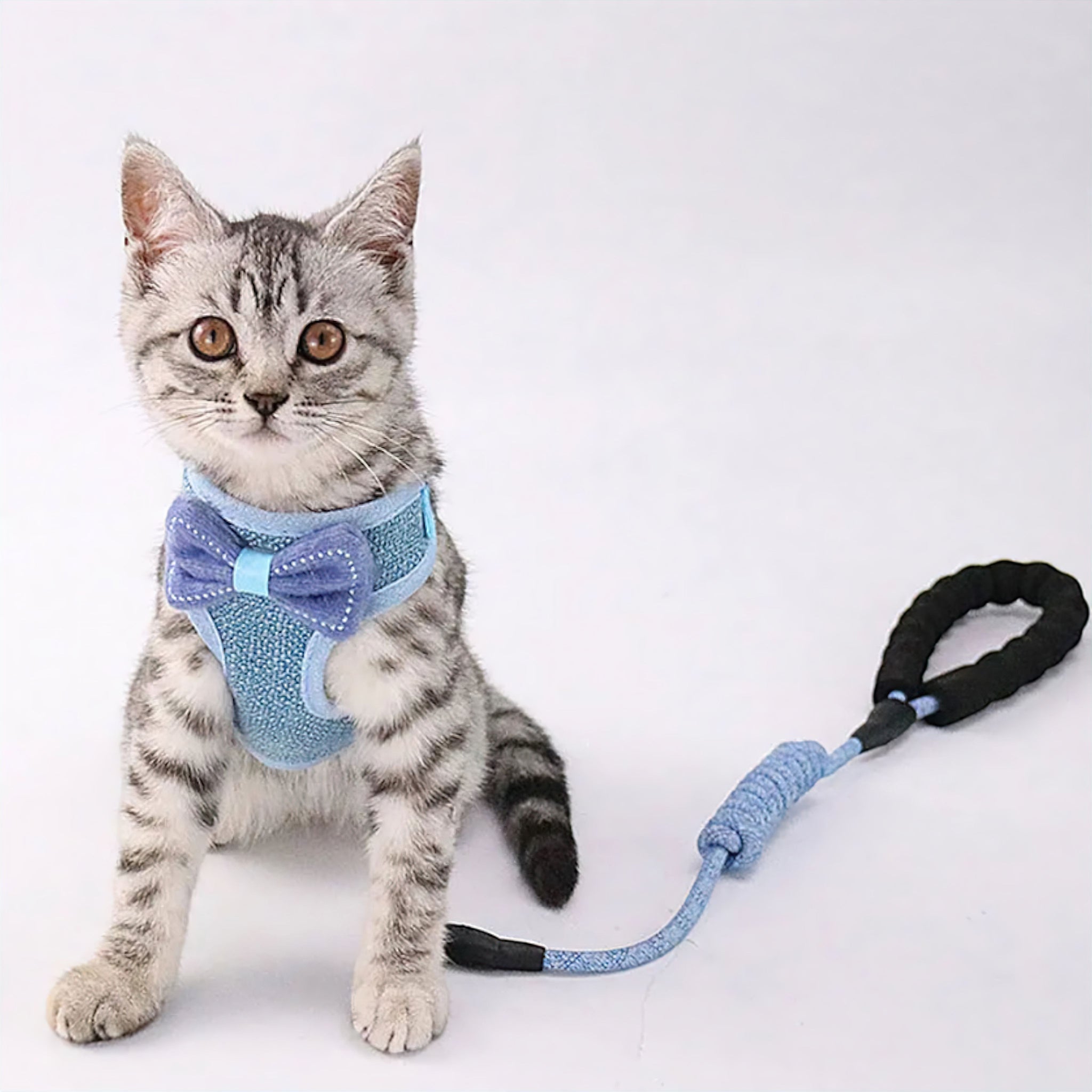 Pawfect Bowtie Bliss Set Pet Clothing Luxe Pet Store 