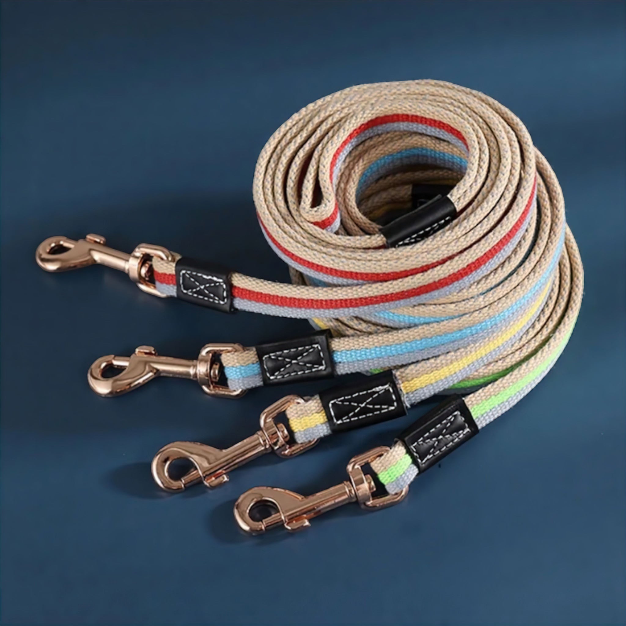 Rugged Paws Dog Leash