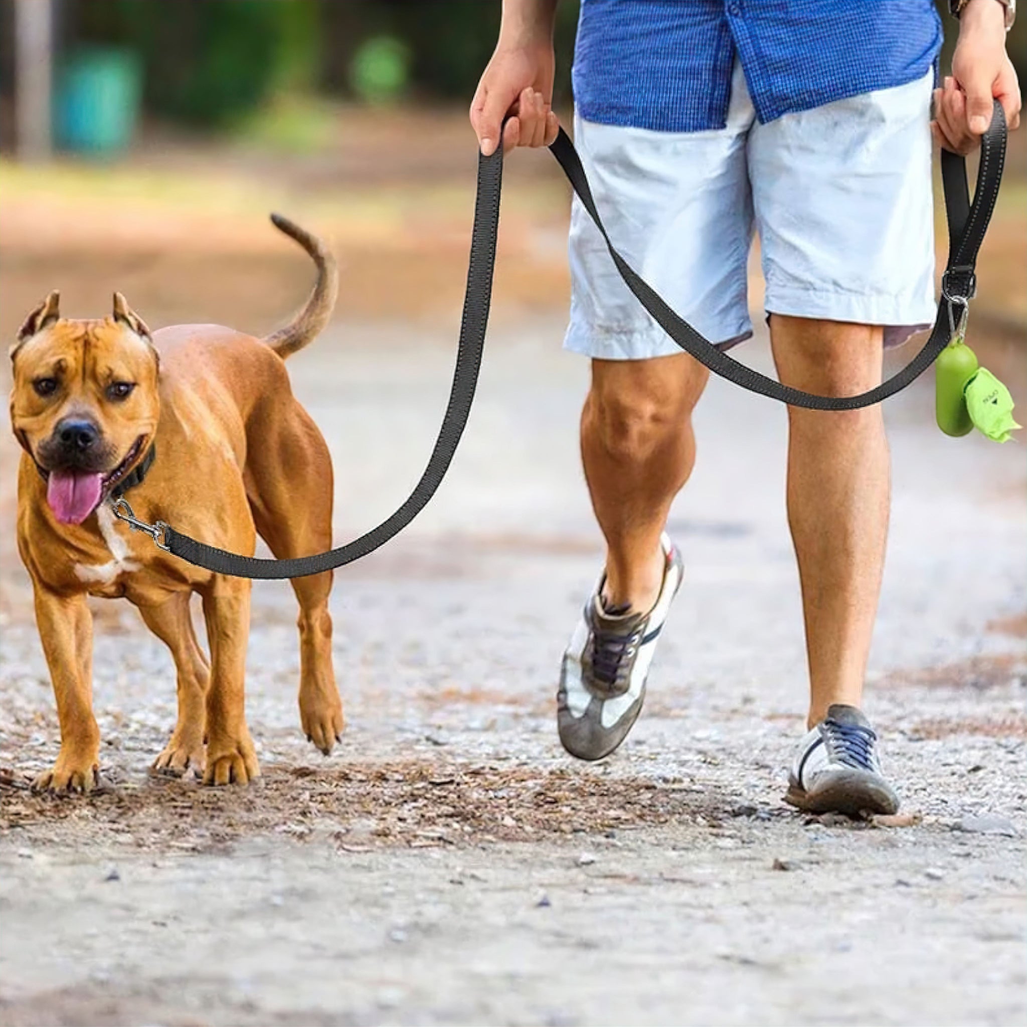 Night Glow Dog Leash