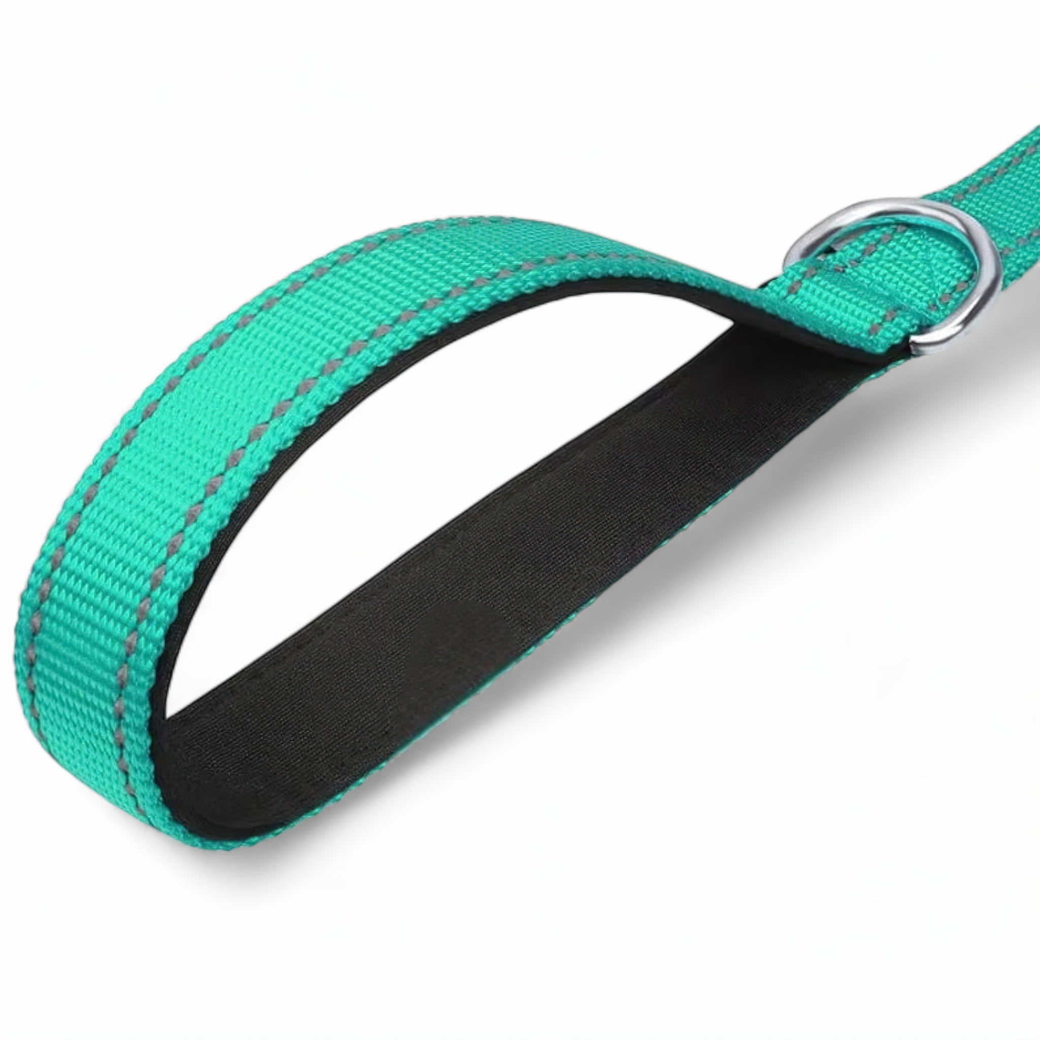 Night Glow Dog Leash