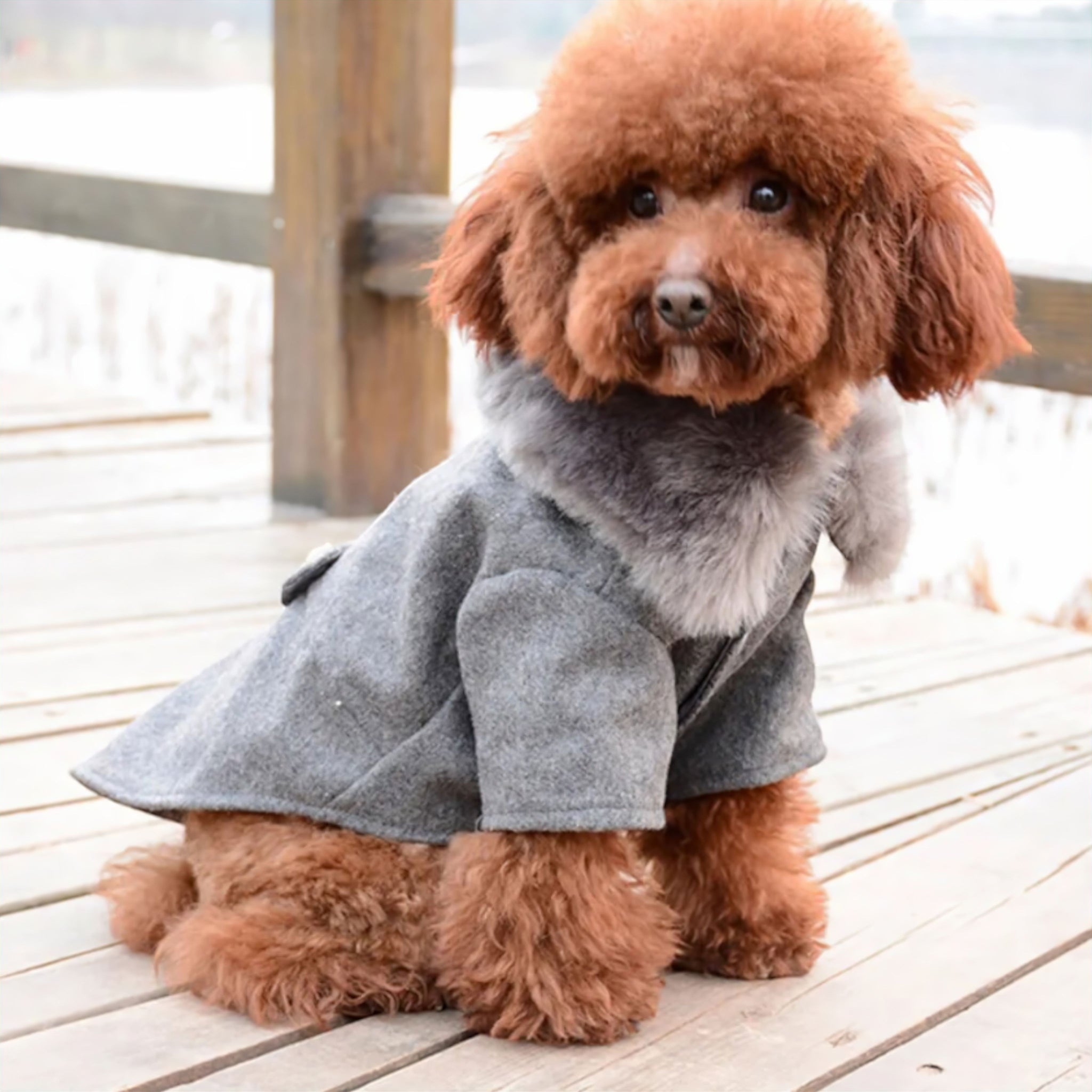 Frosty Fur Pet Jacket Dog Clothing Luxe Pet Store 