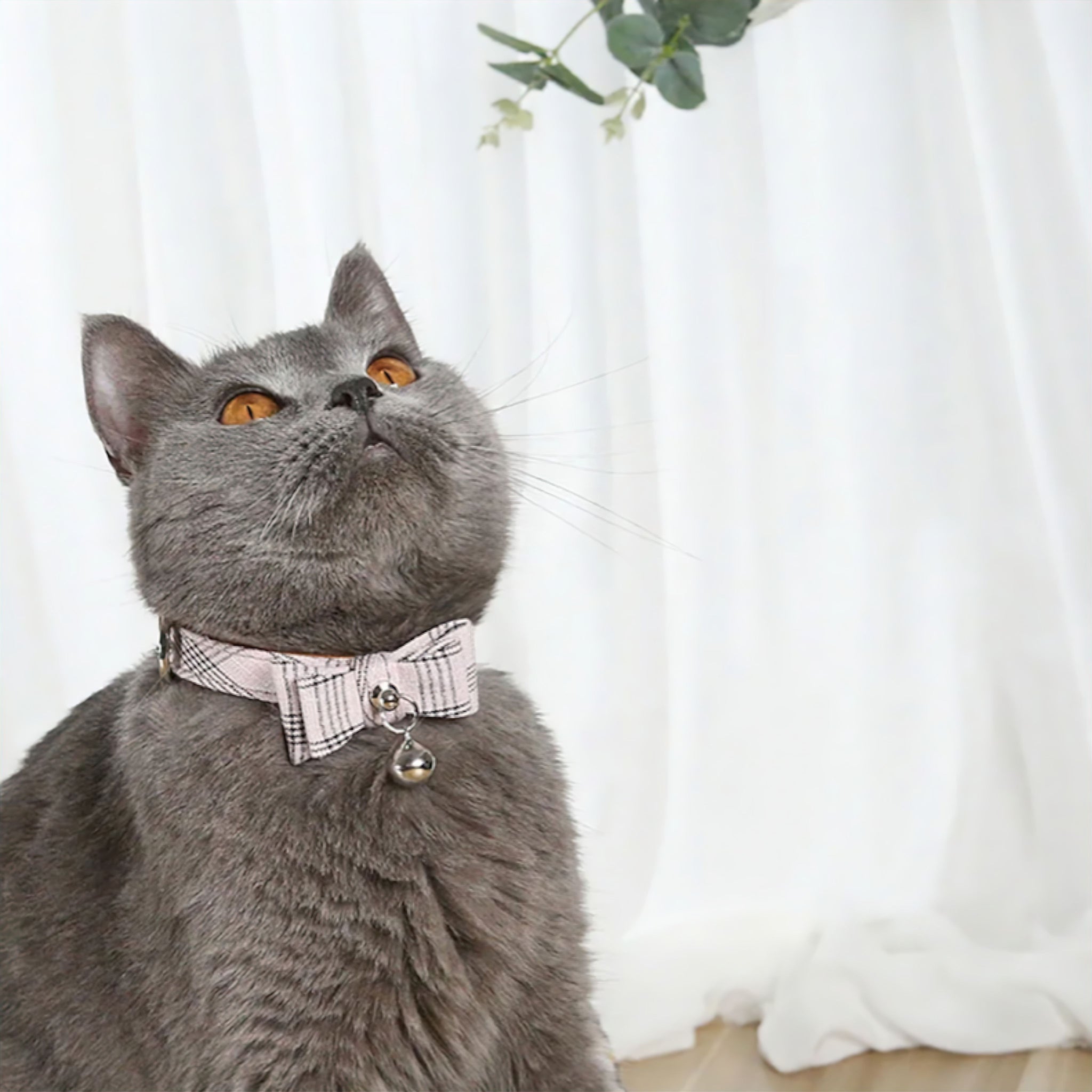 Purrfect Bow Charm Collar Luxe Pet Store 