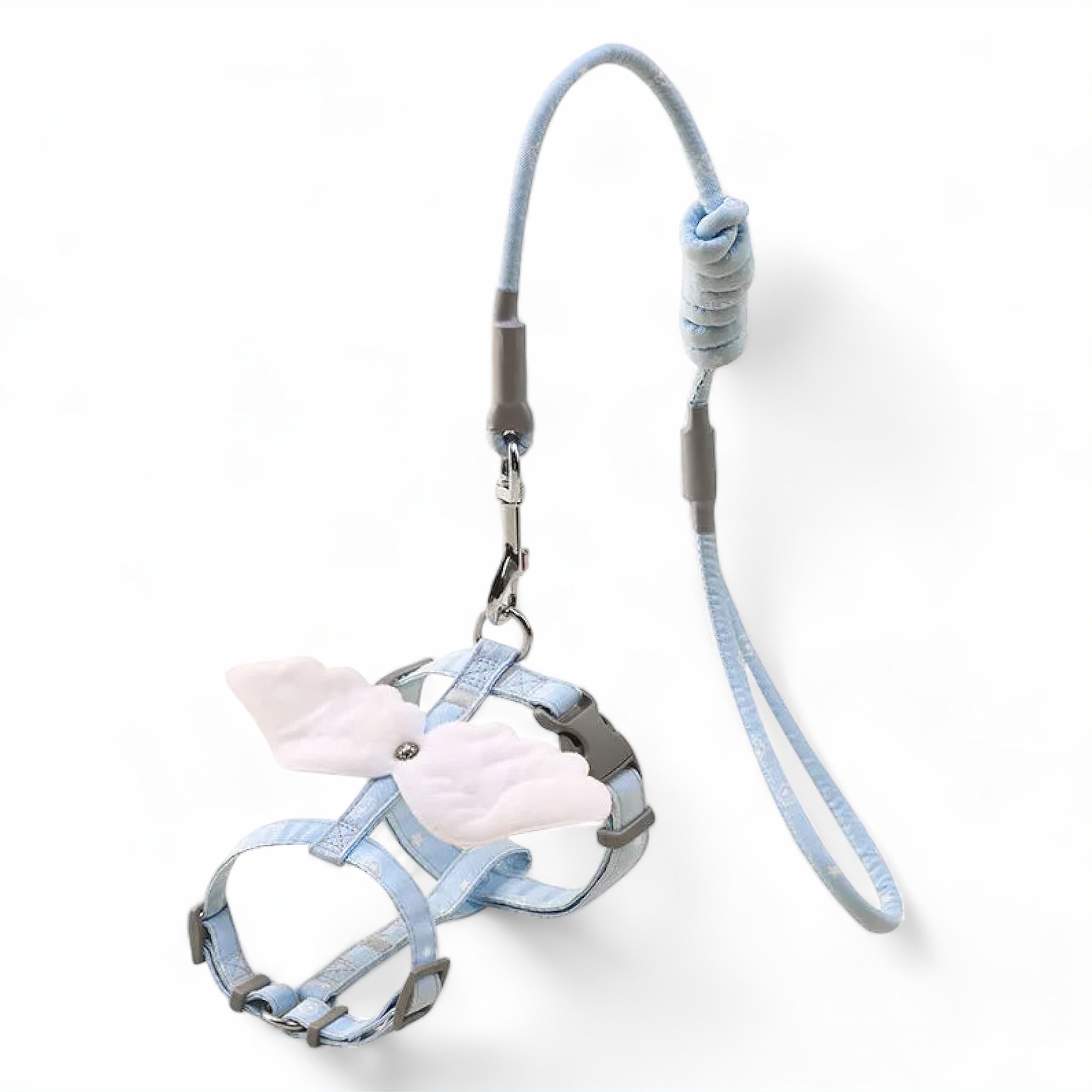 Angel Wing Pet Harness Set