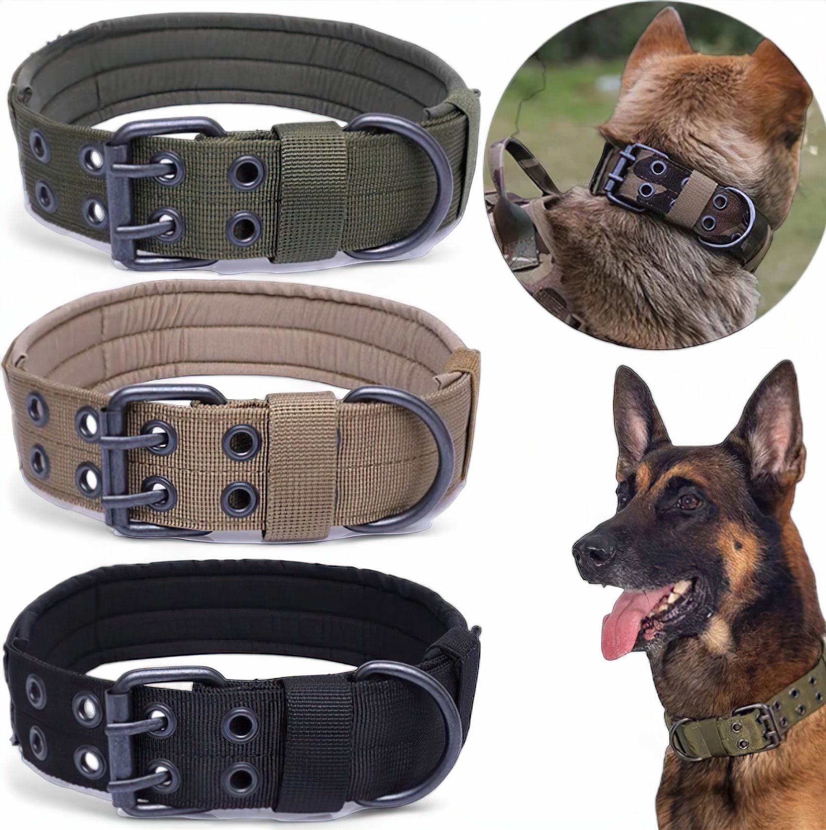 Guardian Dog Collar