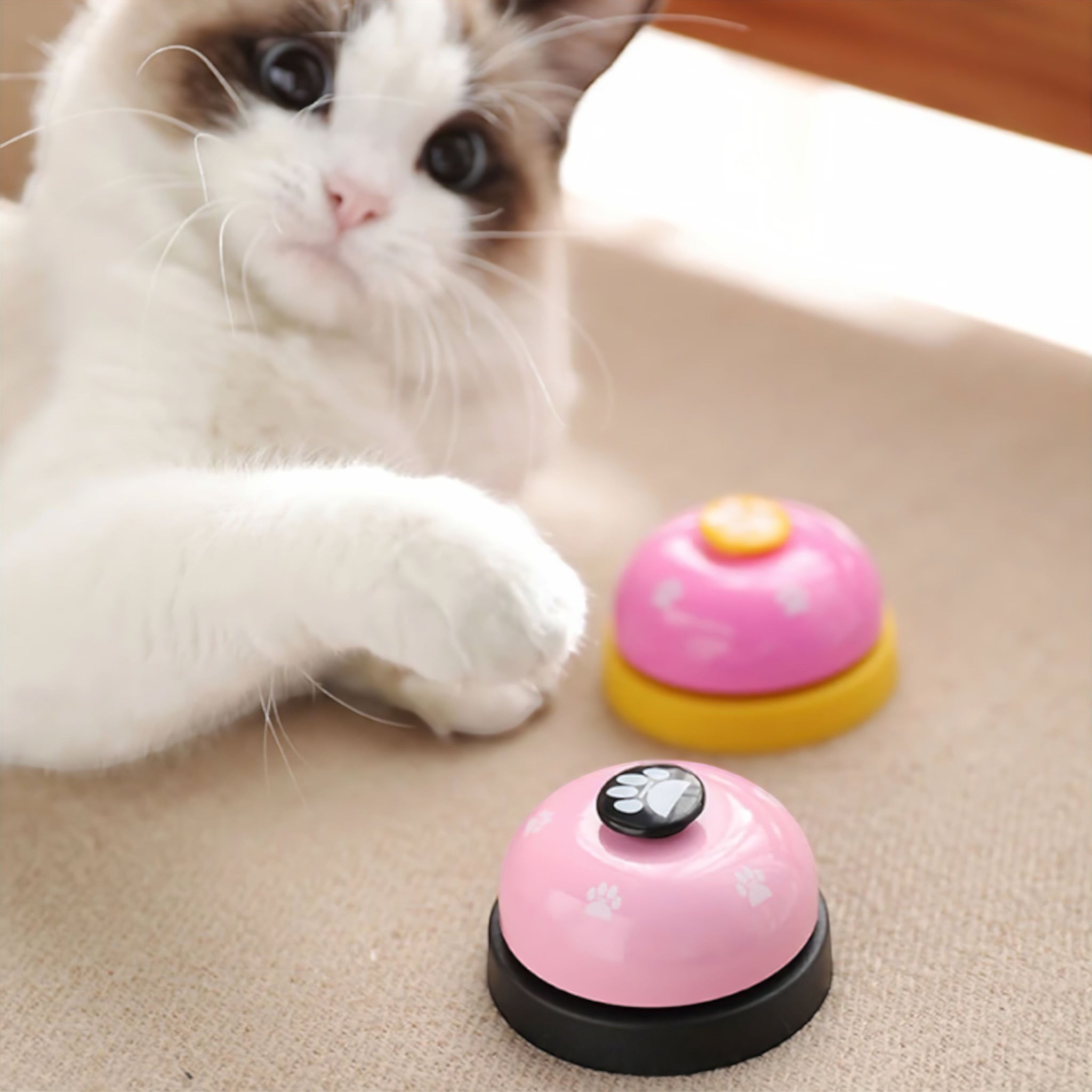 Paw Chime Bell Toy