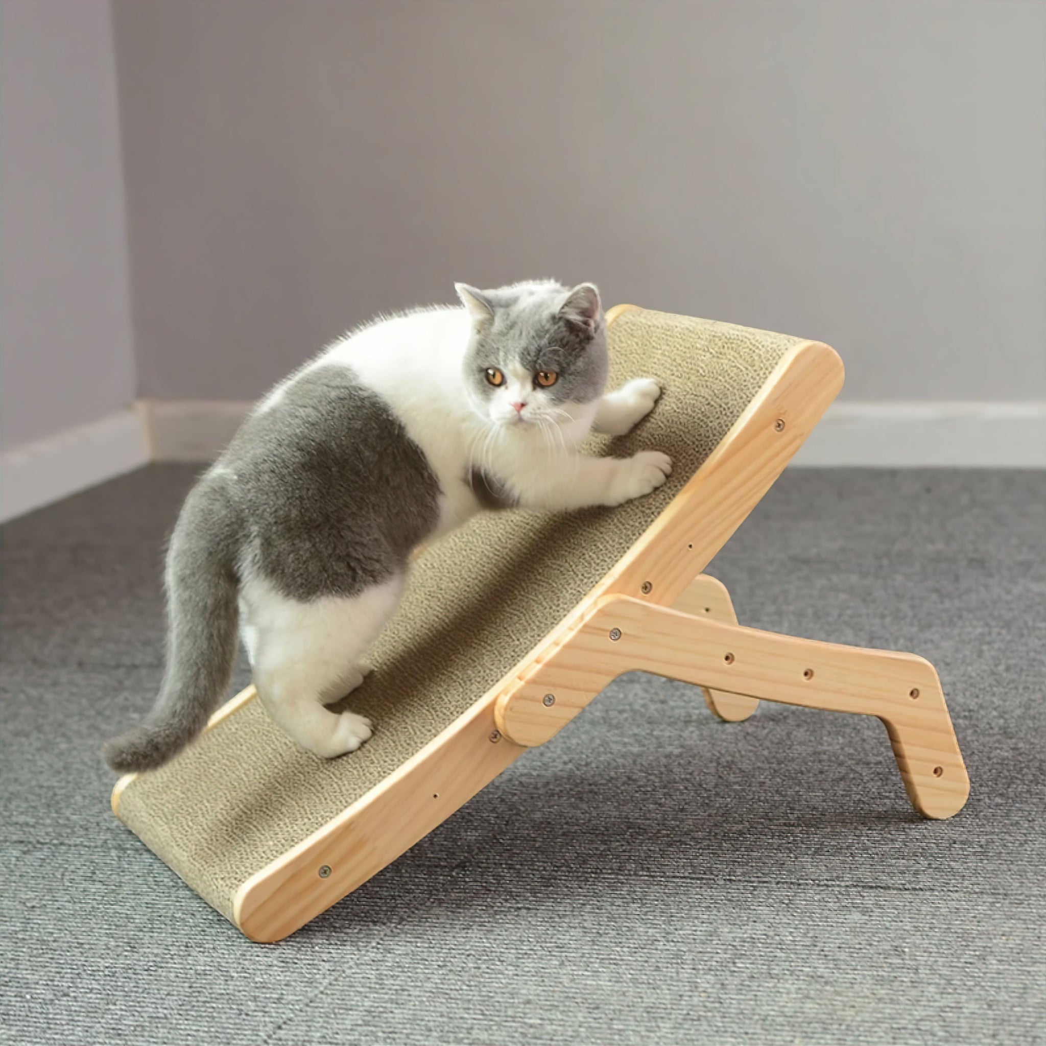 Purrfect Scratch n Snooze Cat Bed Luxe Pet Store 