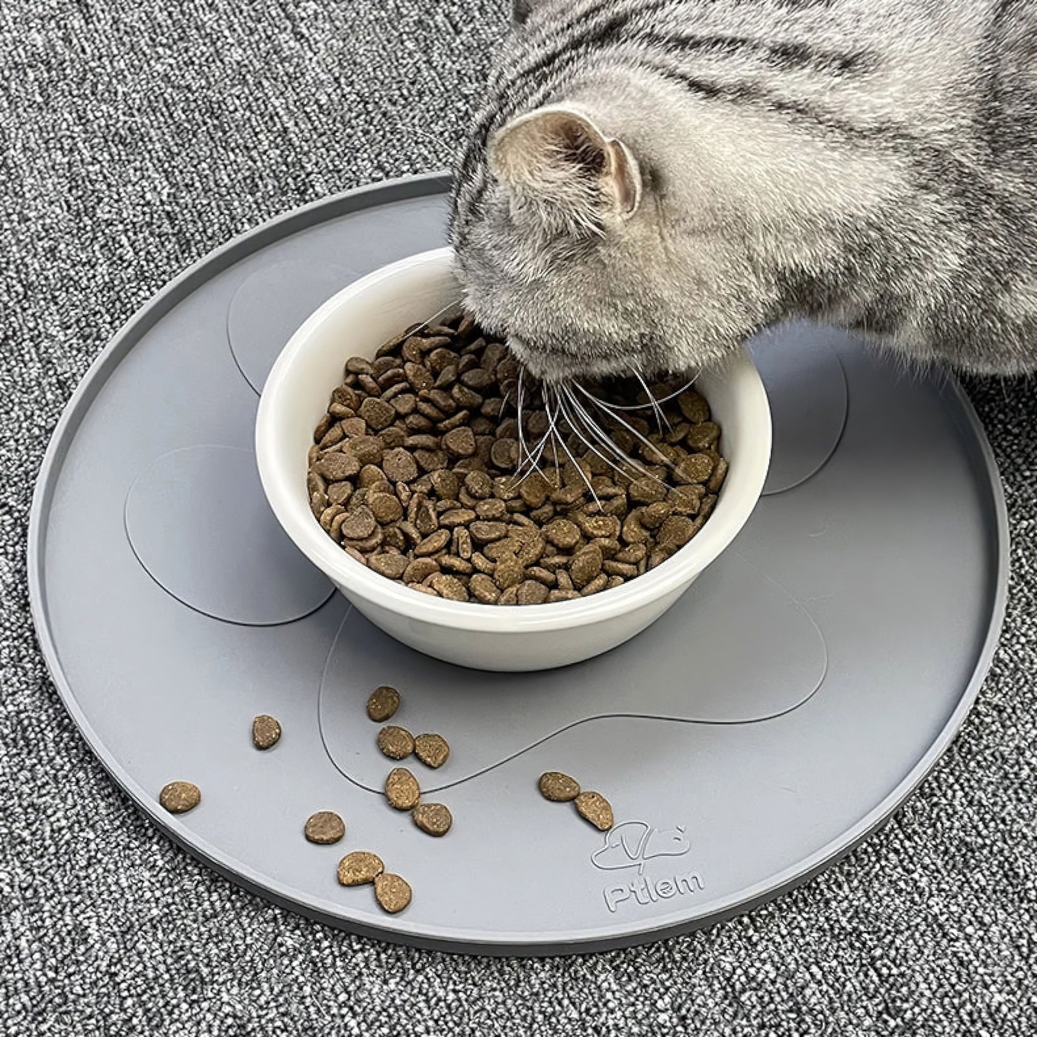 Easy Feed Silicone Placemat cat bowls Luxe Pet Store 