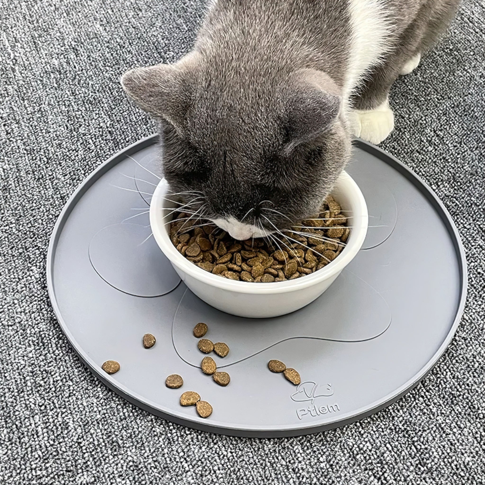 Easy Feed Silicone Placemat cat bowls Luxe Pet Store 