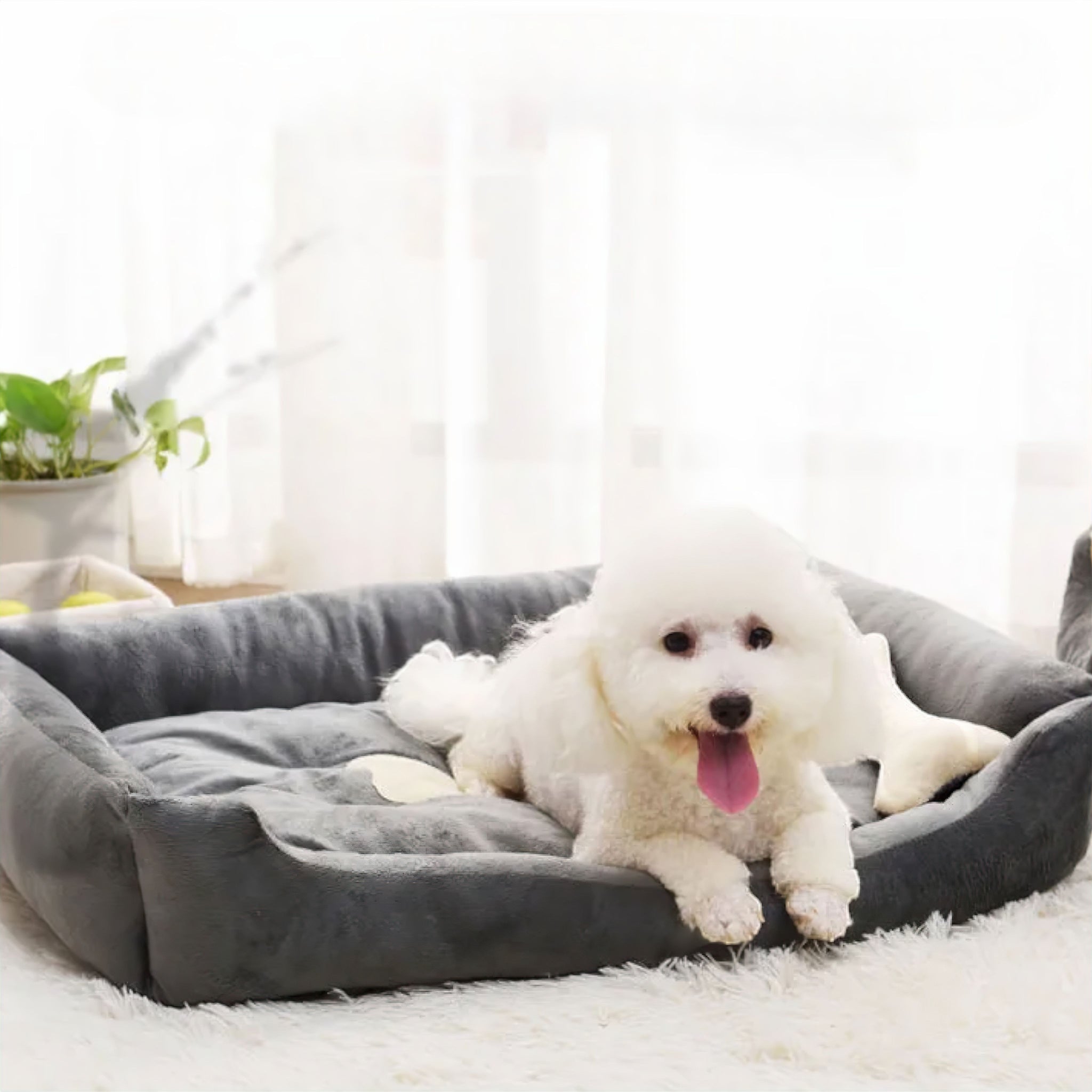 Comfy Paws Plush Bed Dog Bed Luxe Pet Store 