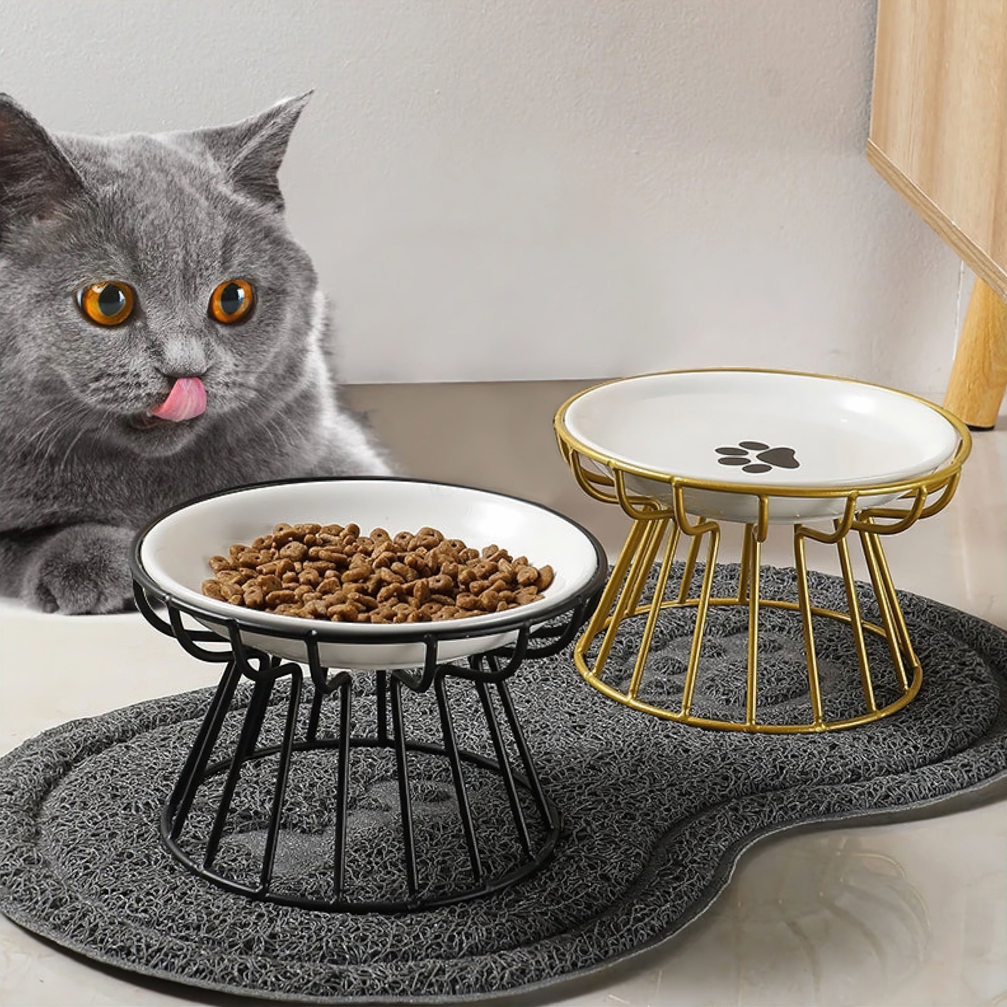 Elevated Ceramic Pet Bowl