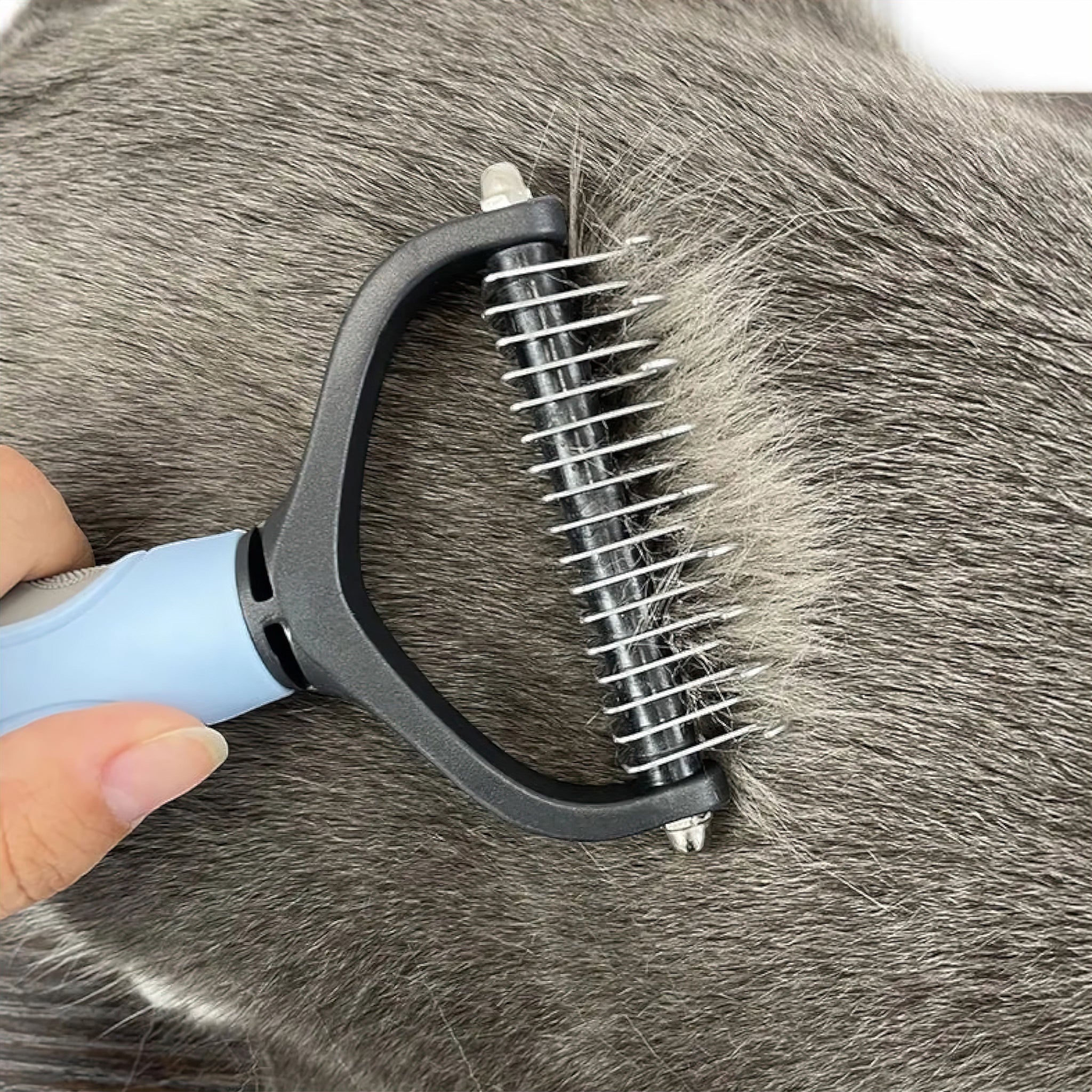 Purrfect Groomer