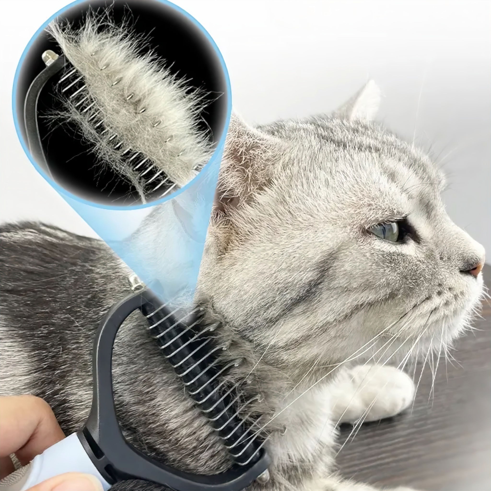 Purrfect Groomer Grooming Luxe Pet Store 