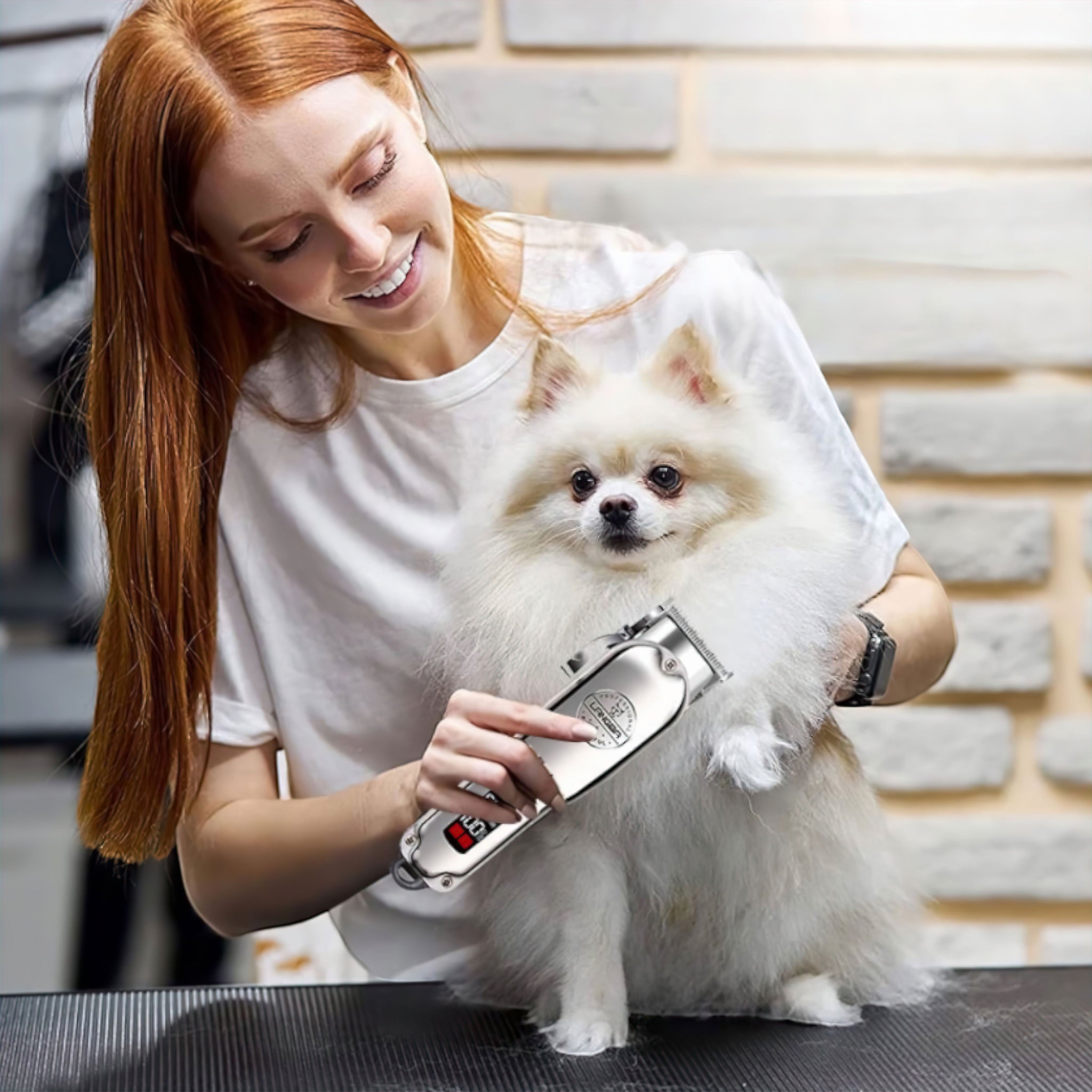 Paw Trim Groomer