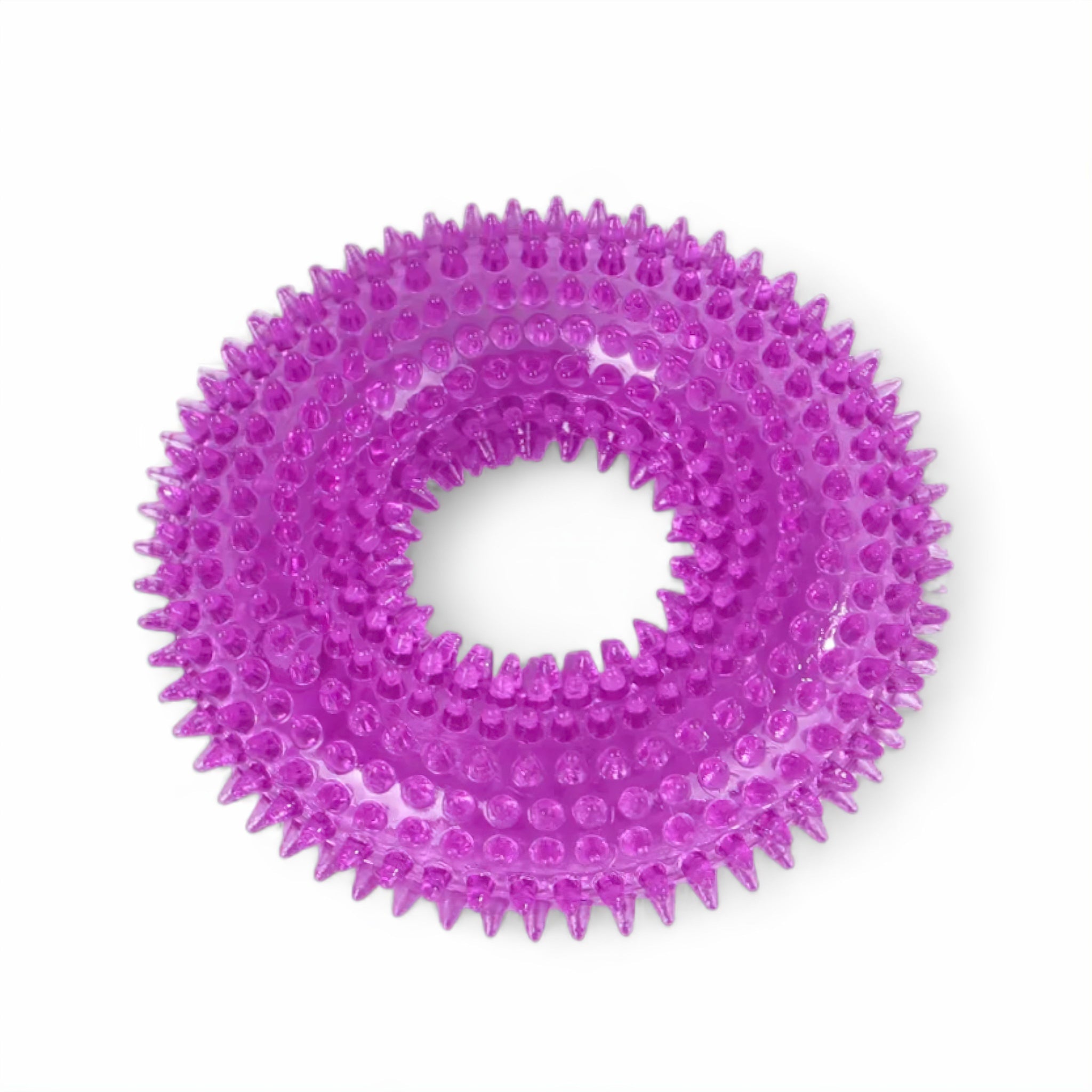 Squeaky Dental Delight Dog Toy Luxe Pet Store Purple S 