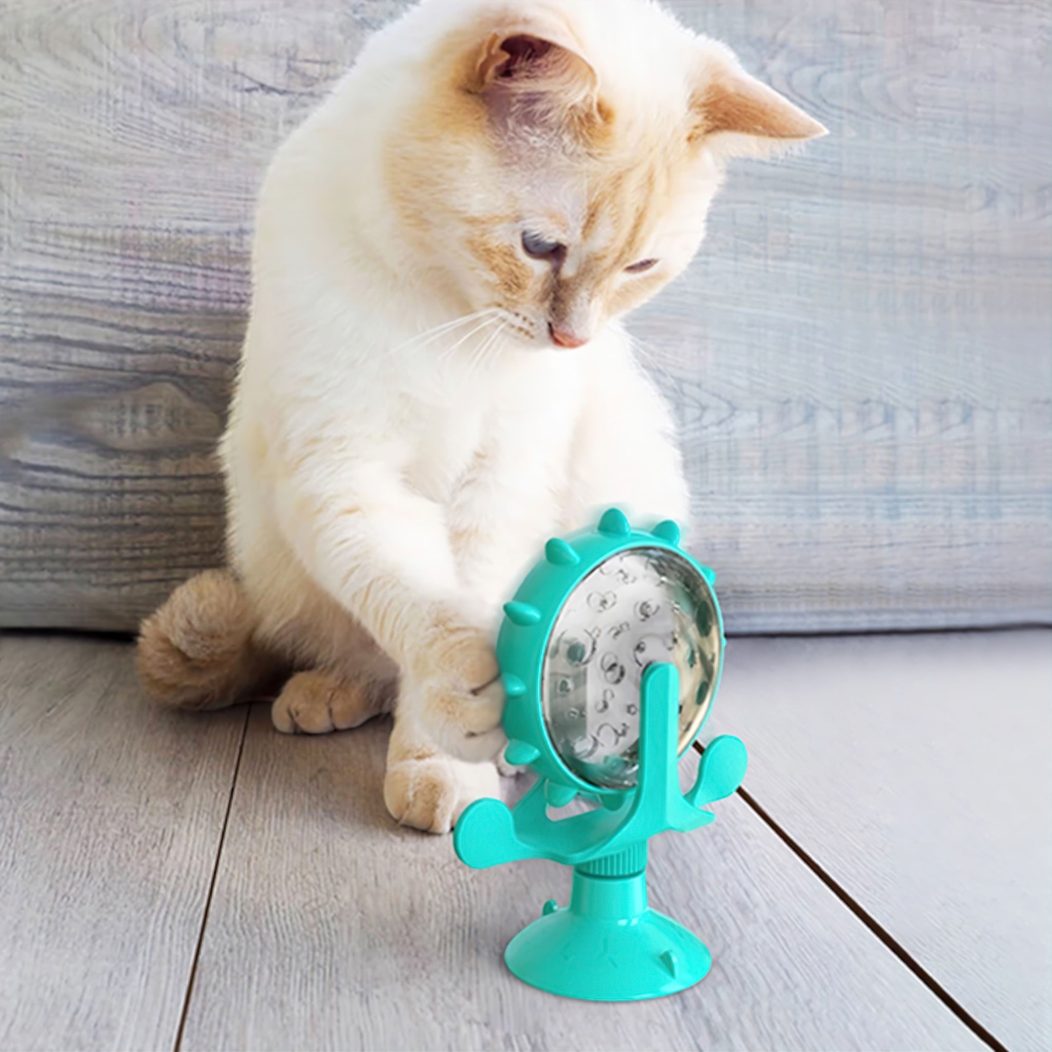 Spin Purr Pet Feeder