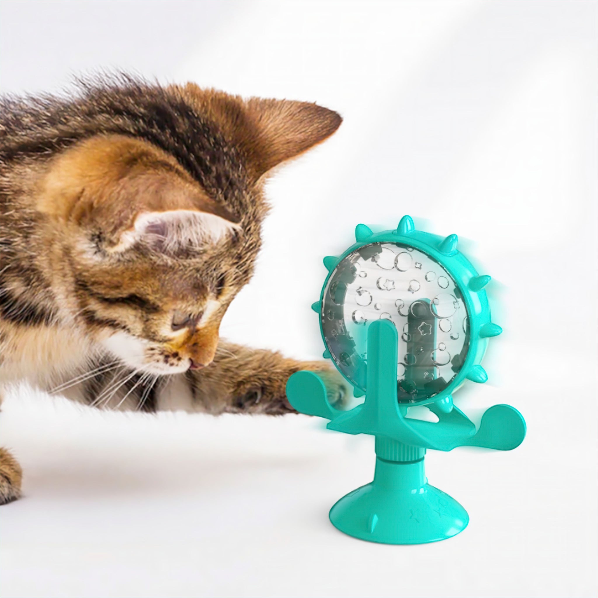 Spin Purr Pet Feeder