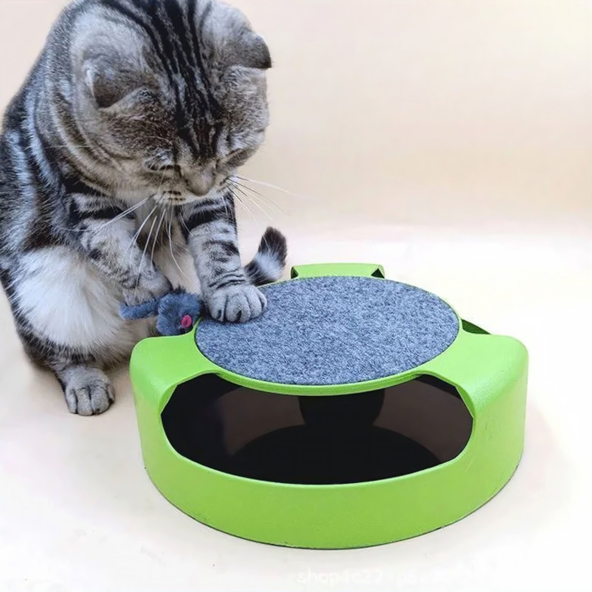 Cat Turntable