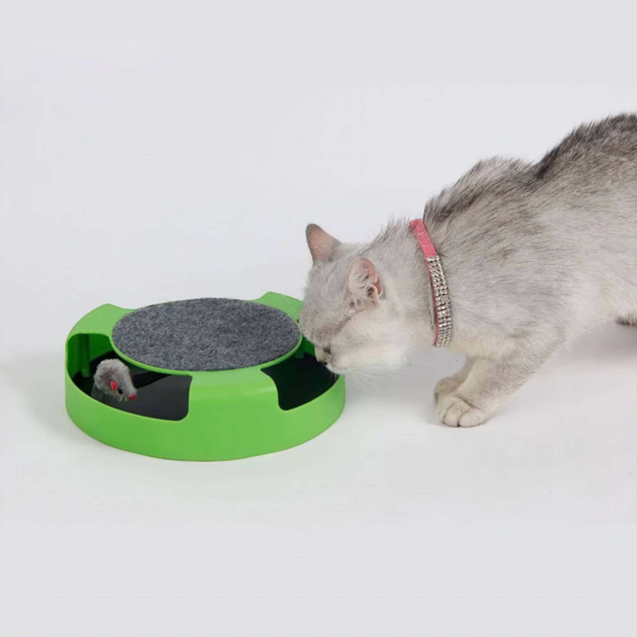 Cat Turntable