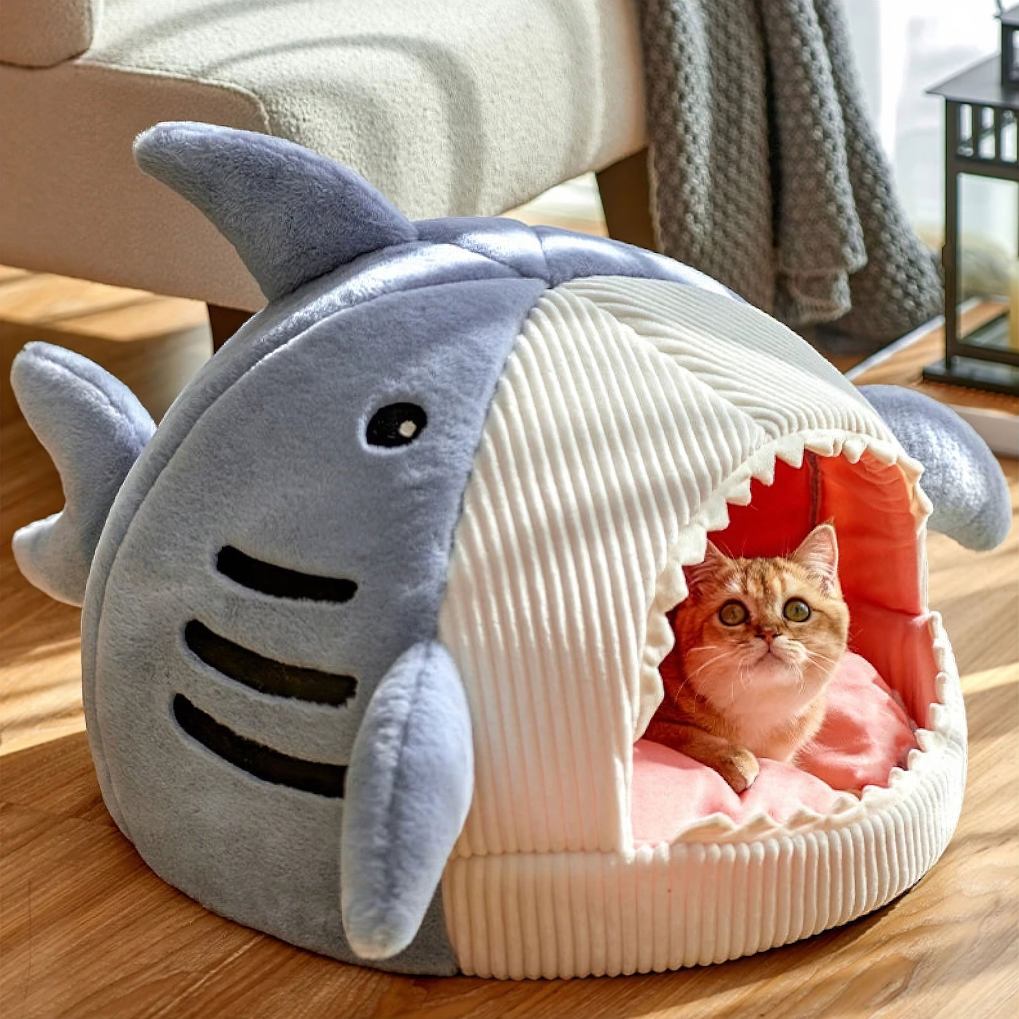 Shark Pet Cave Pet House Luxe Pet Store 