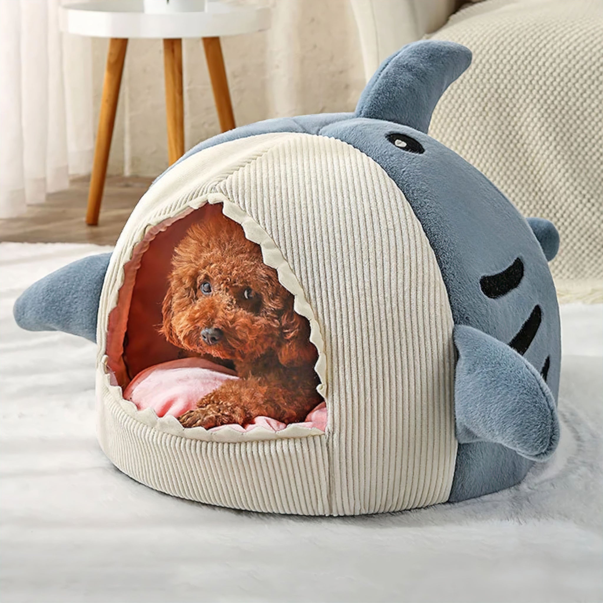 Shark Pet Cave