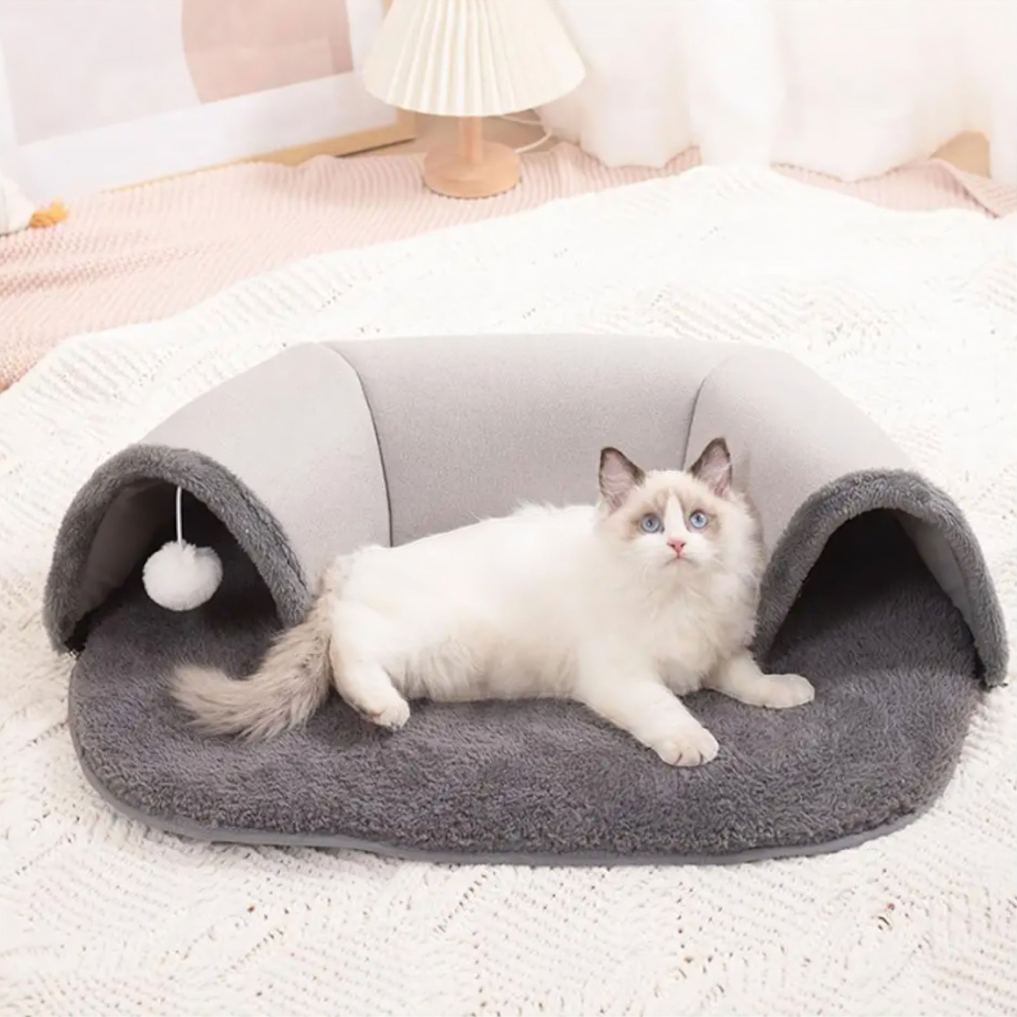 Ellipses Cat Tunnel