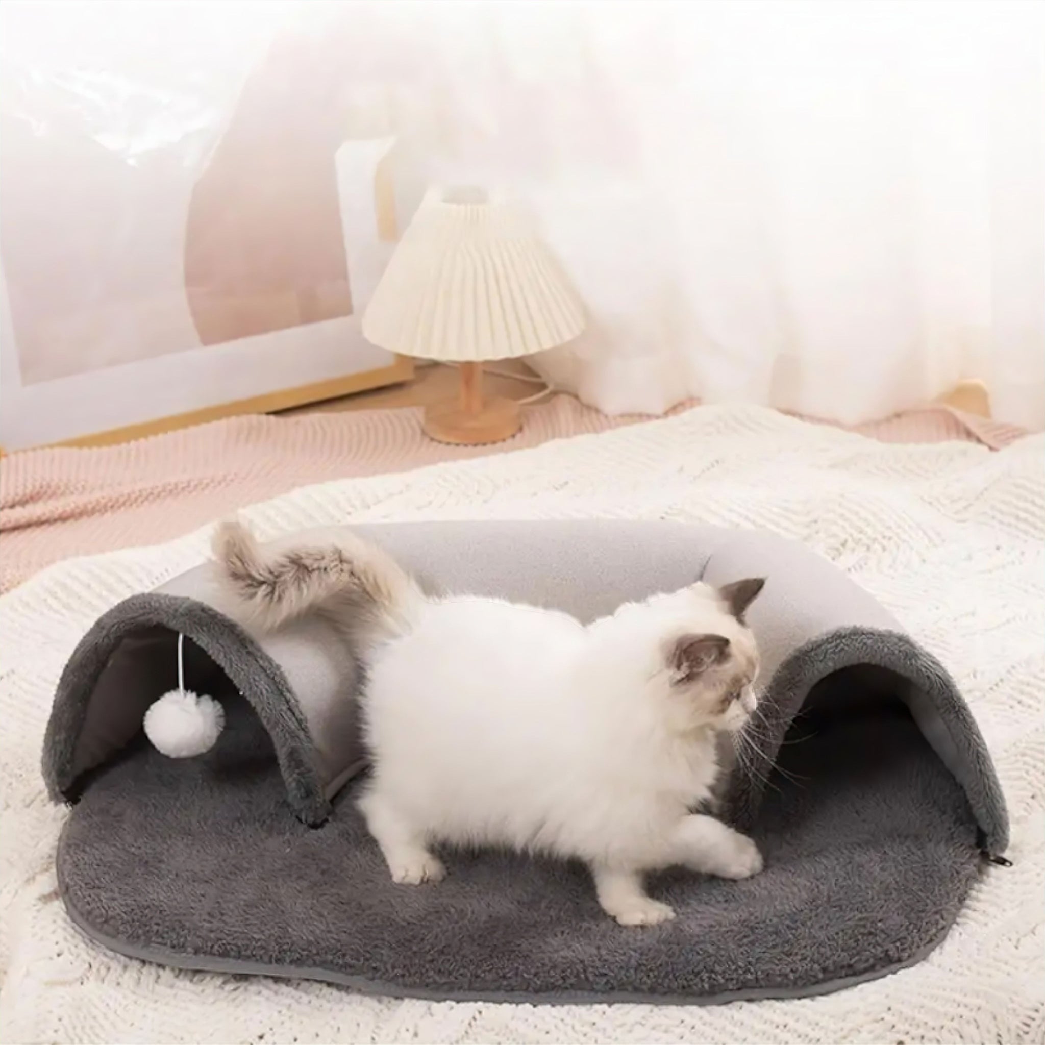 Ellipses Cat Tunnel