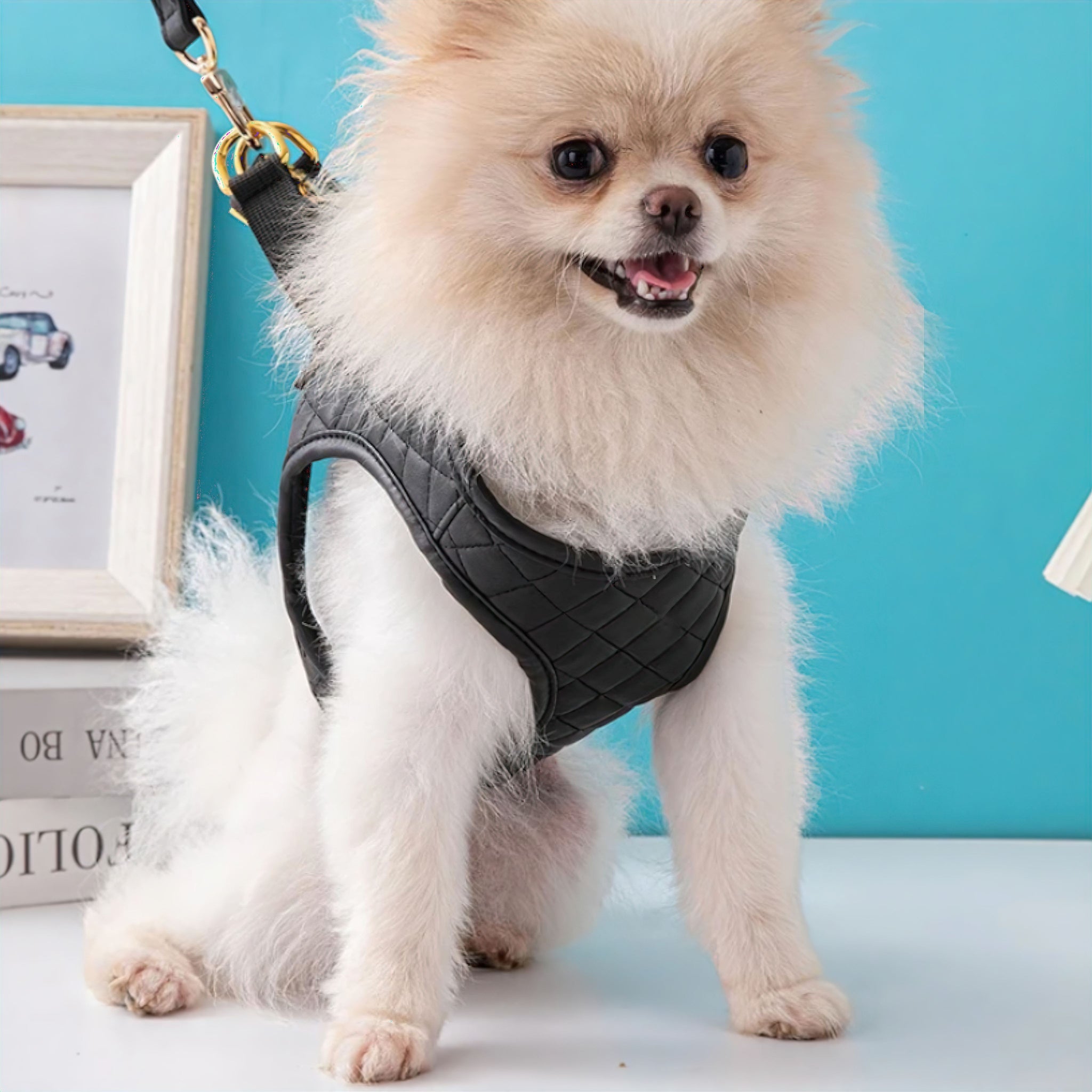 Luxe Dog Harness