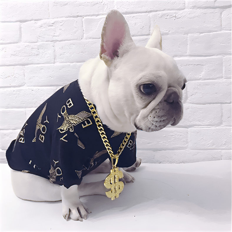 Paw-glam Luxury Dog Chain Dog Collar USAdrop 