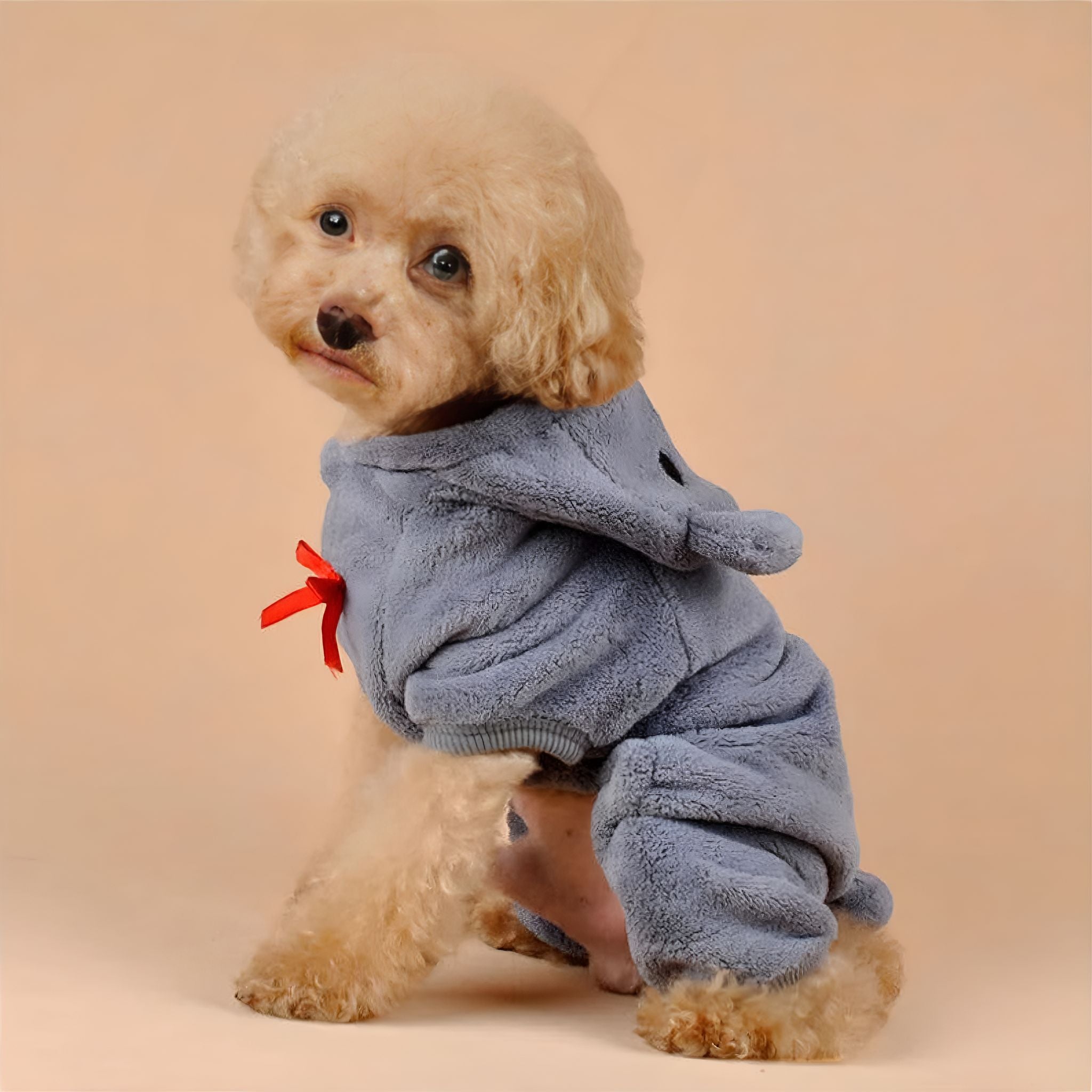 Cozy Canine Couture Dog Clothing Luxe Pet Store Grey XS 