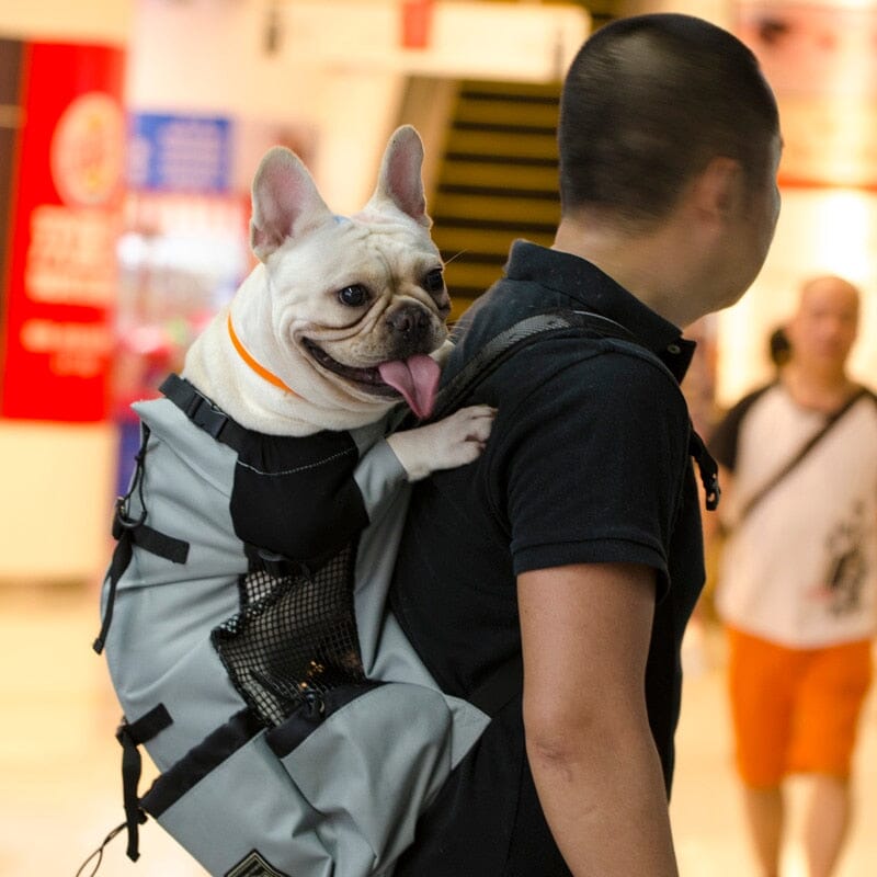 Reflective Dog Travel Backpack Dog Travel Backpack USAdrop Grey S 