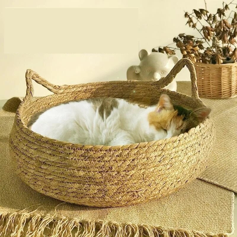 Rattan Haven Pet Retreat Cat Bed Luxe Pet Store 