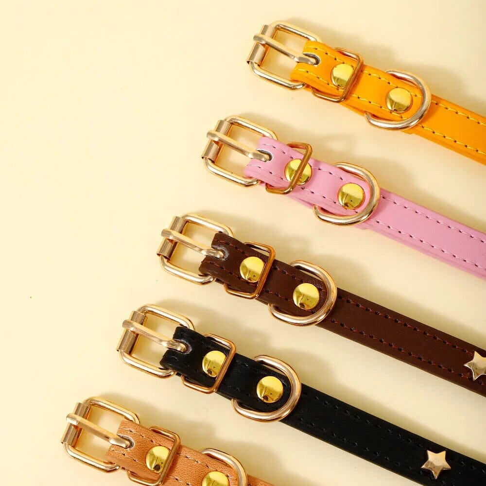 Star Moon Pet Collar Pet Collar USAdrop 