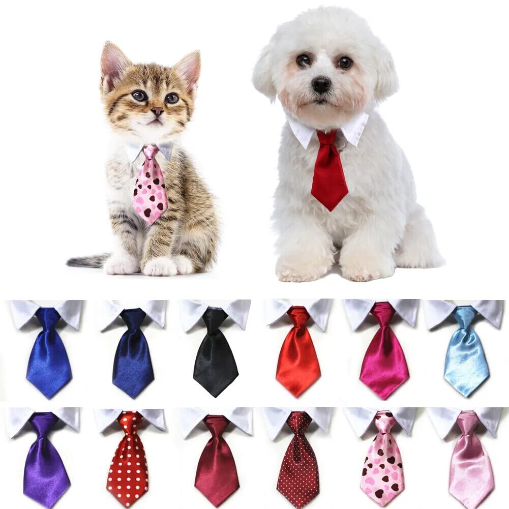 Elegant Pet Collar Tie USAdrop 