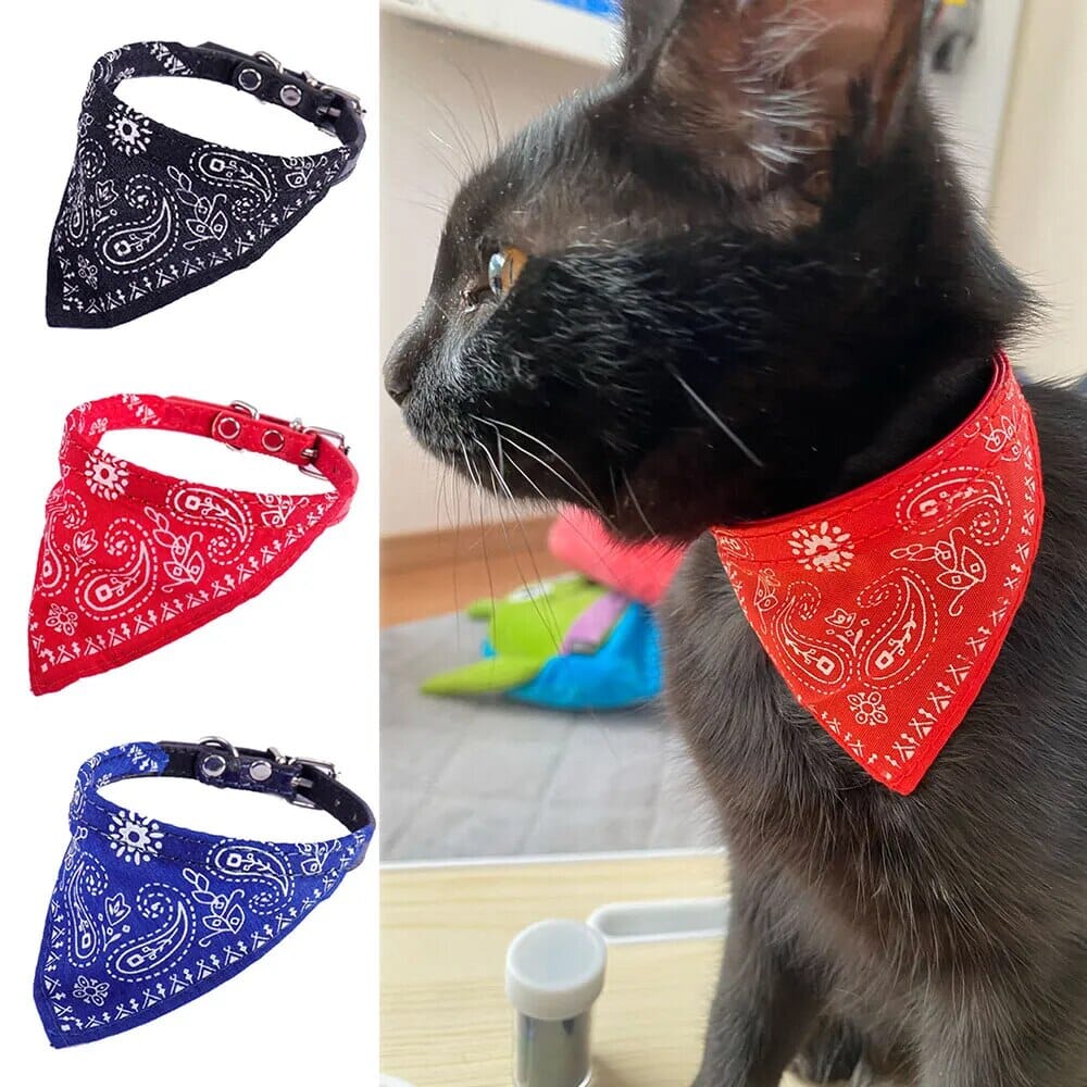 Bandana Pet Collar Cat Bandana Luxe Pet Store 