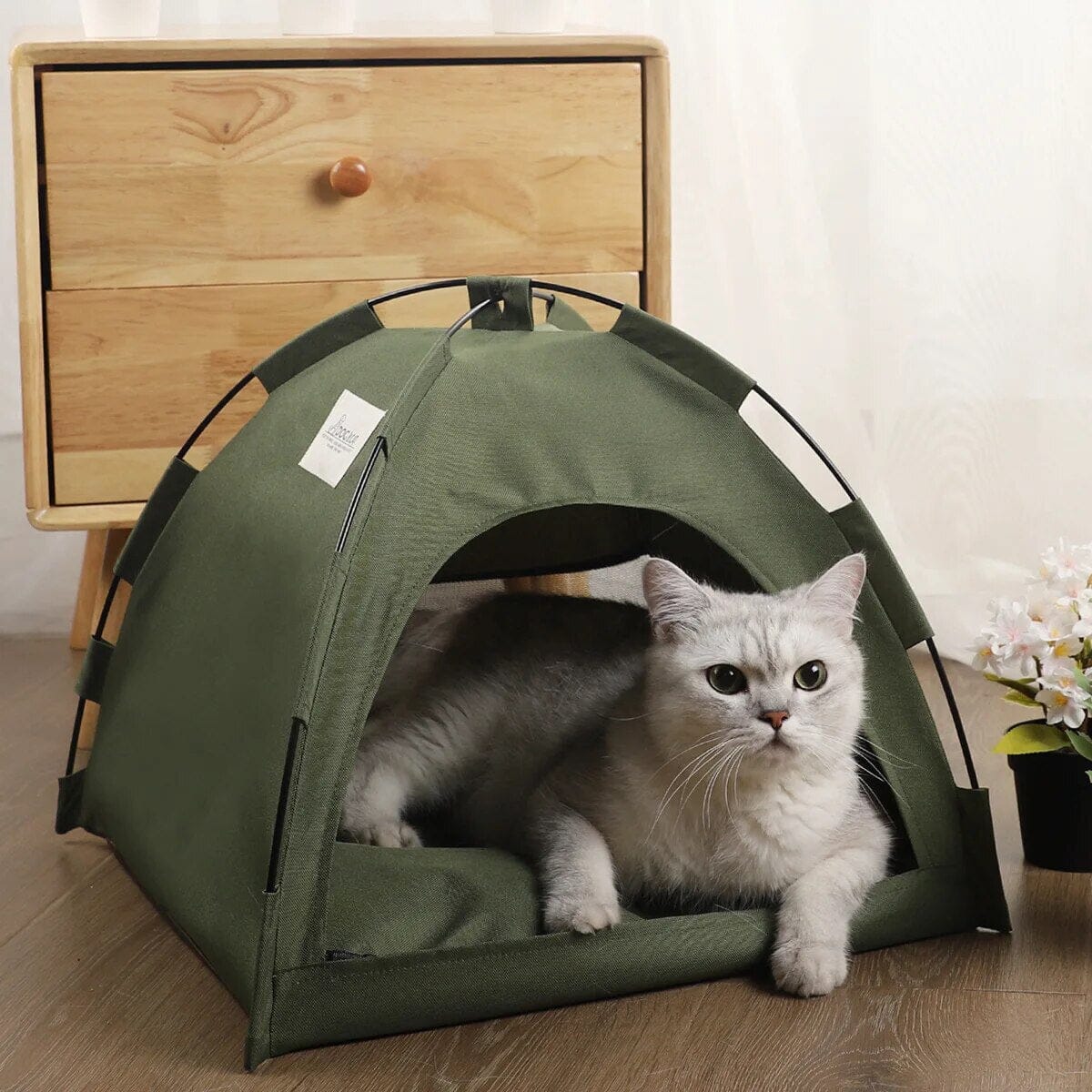 Chill Paw Cat Cabana Cat Bed USAdrop 