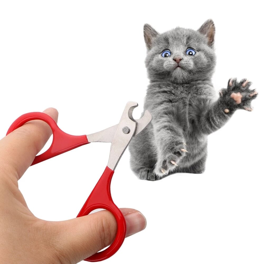 Pet Nail Clippers Nail Clippers USAdrop 