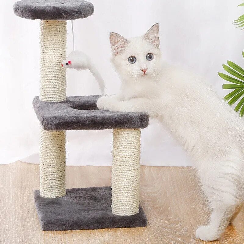 3-Layer Cat Tree Cat Tree Luxe Pet Store 