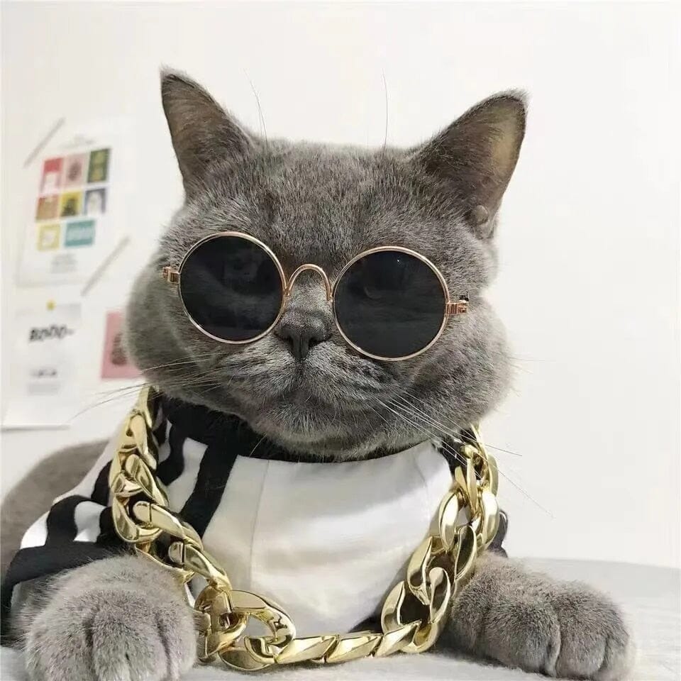 Pawsome Pet Eyewear Cat Jewelry USAdrop 