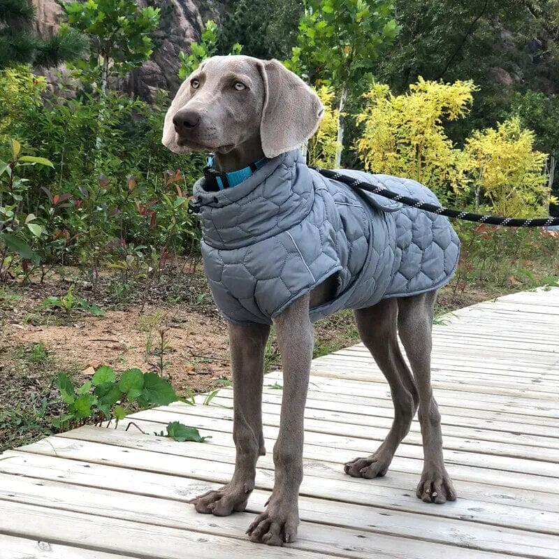 Waterproof Pet Coat Dog Clothing USAdrop Grey S 