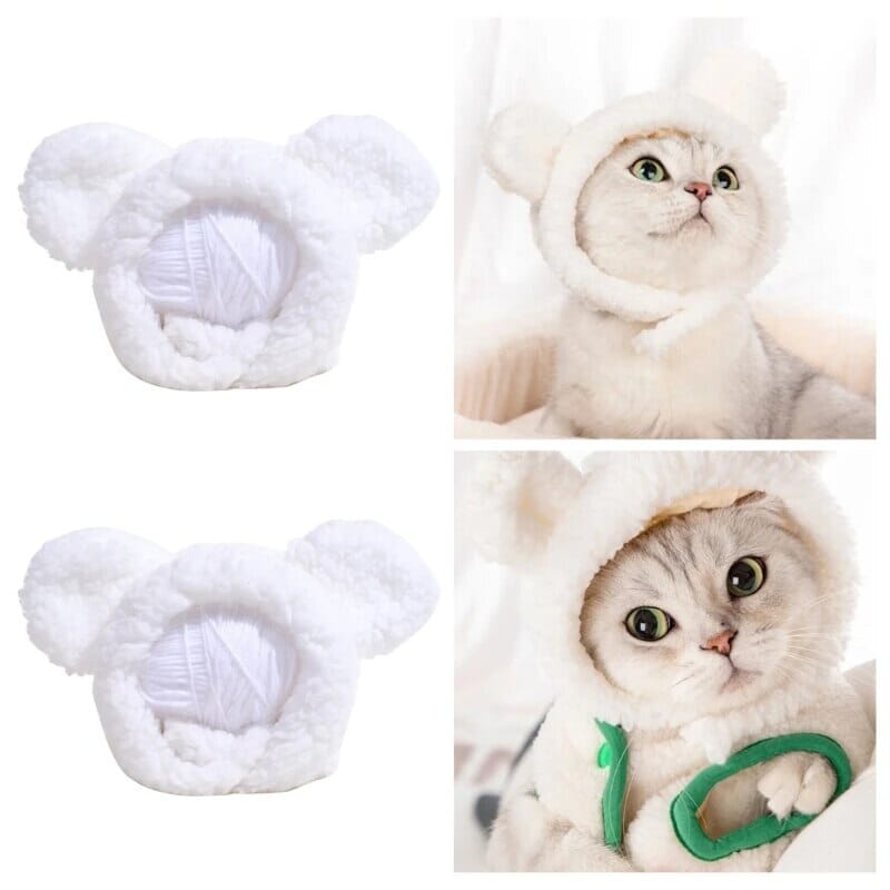 Pawsitively Bear Hat Cat Clothing USAdrop 