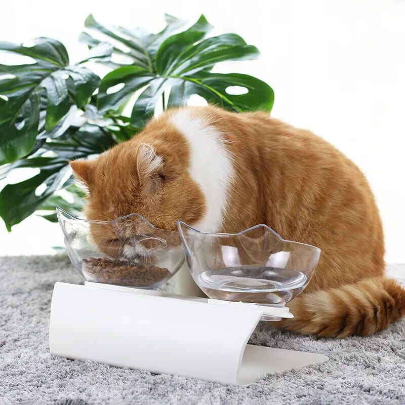 Crystal Clear Kitty Dish cat bowl USAdrop 