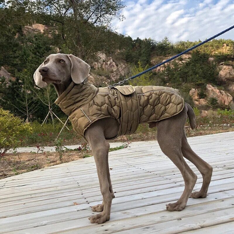 Waterproof Pet Coat Dog Clothing USAdrop Olive Green S 